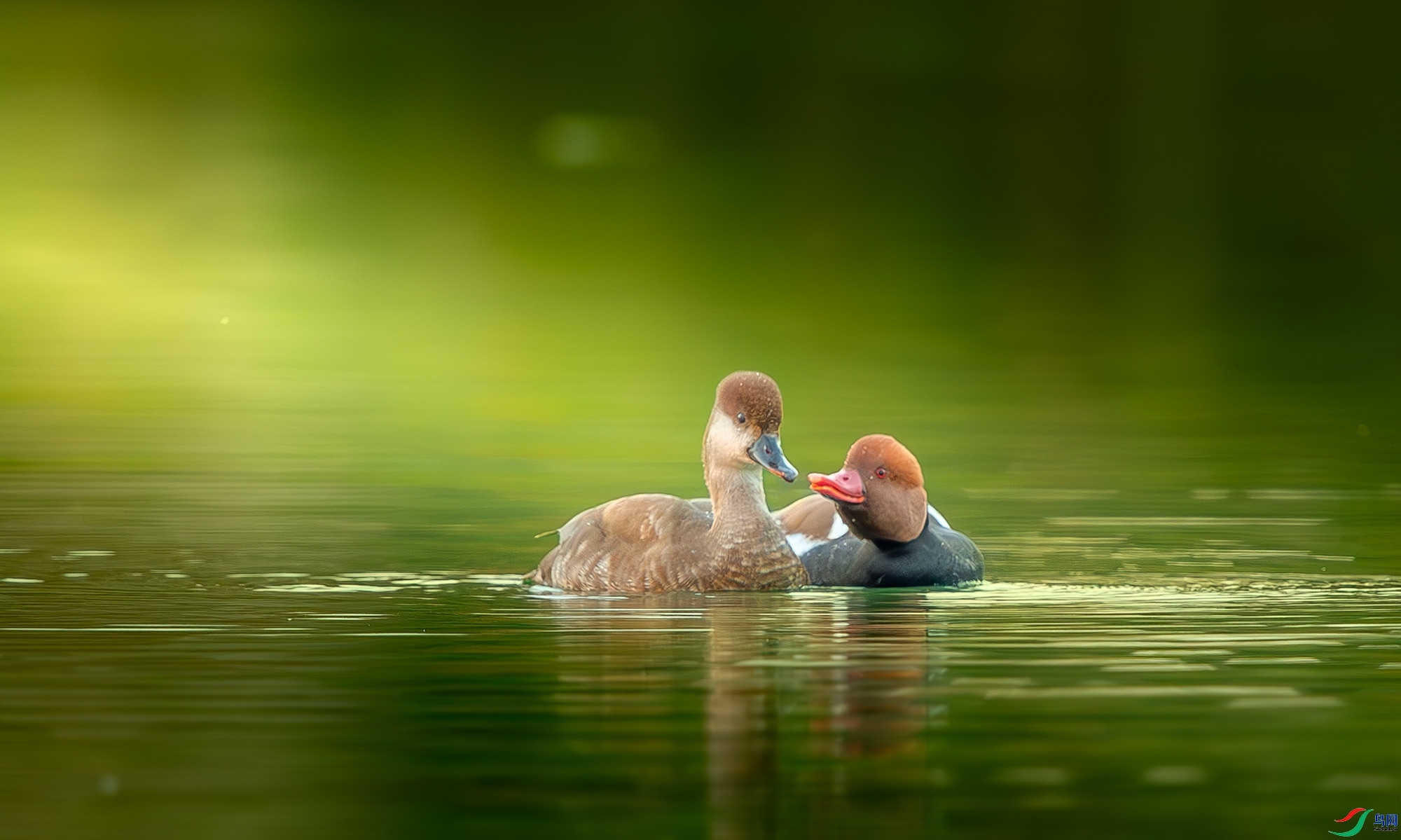 12.19��֮�Ժ���ʦ��Ʒ   ��һ�� ��ף���ٻ����������.jpg