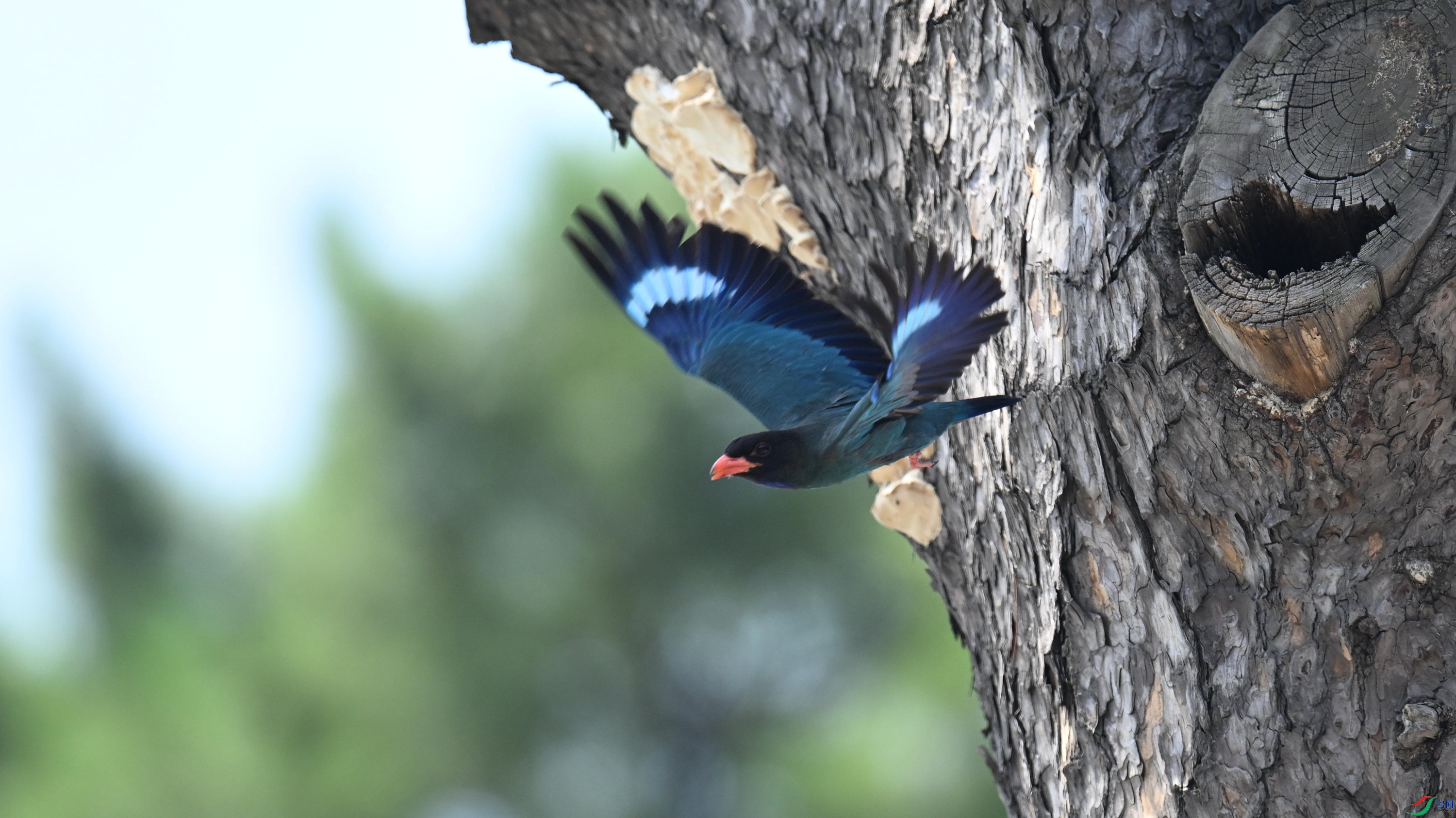 ������ (9).jpg