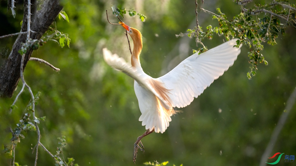 DSC_0005x.jpg