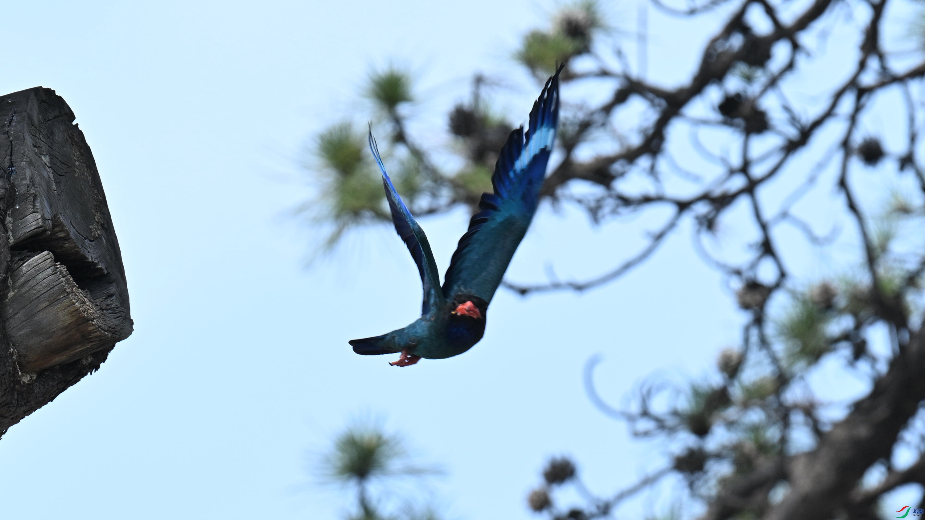 ������ (15).jpg