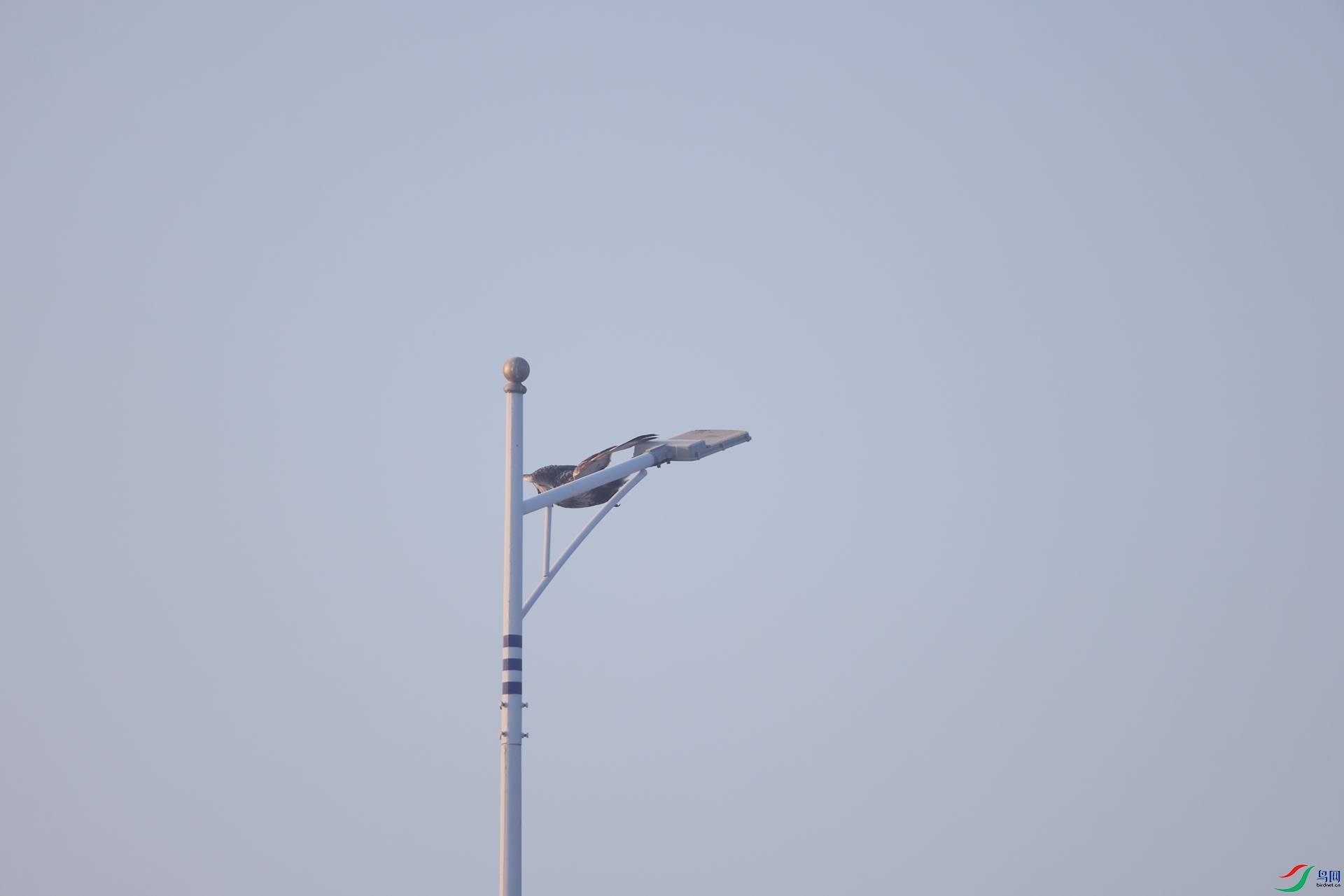 2F5A9583.JPG