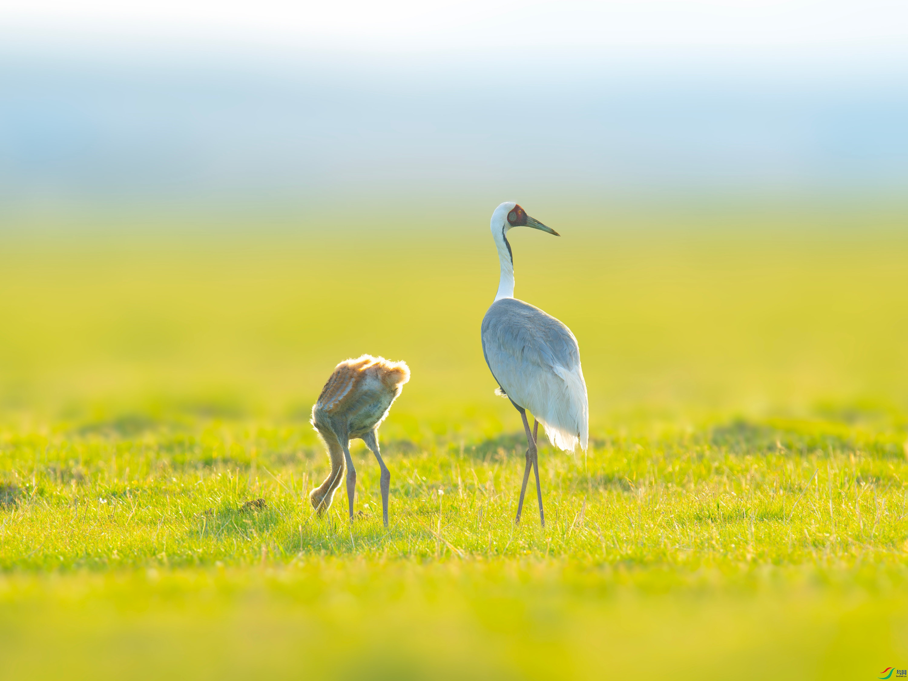 ������  (1).jpg