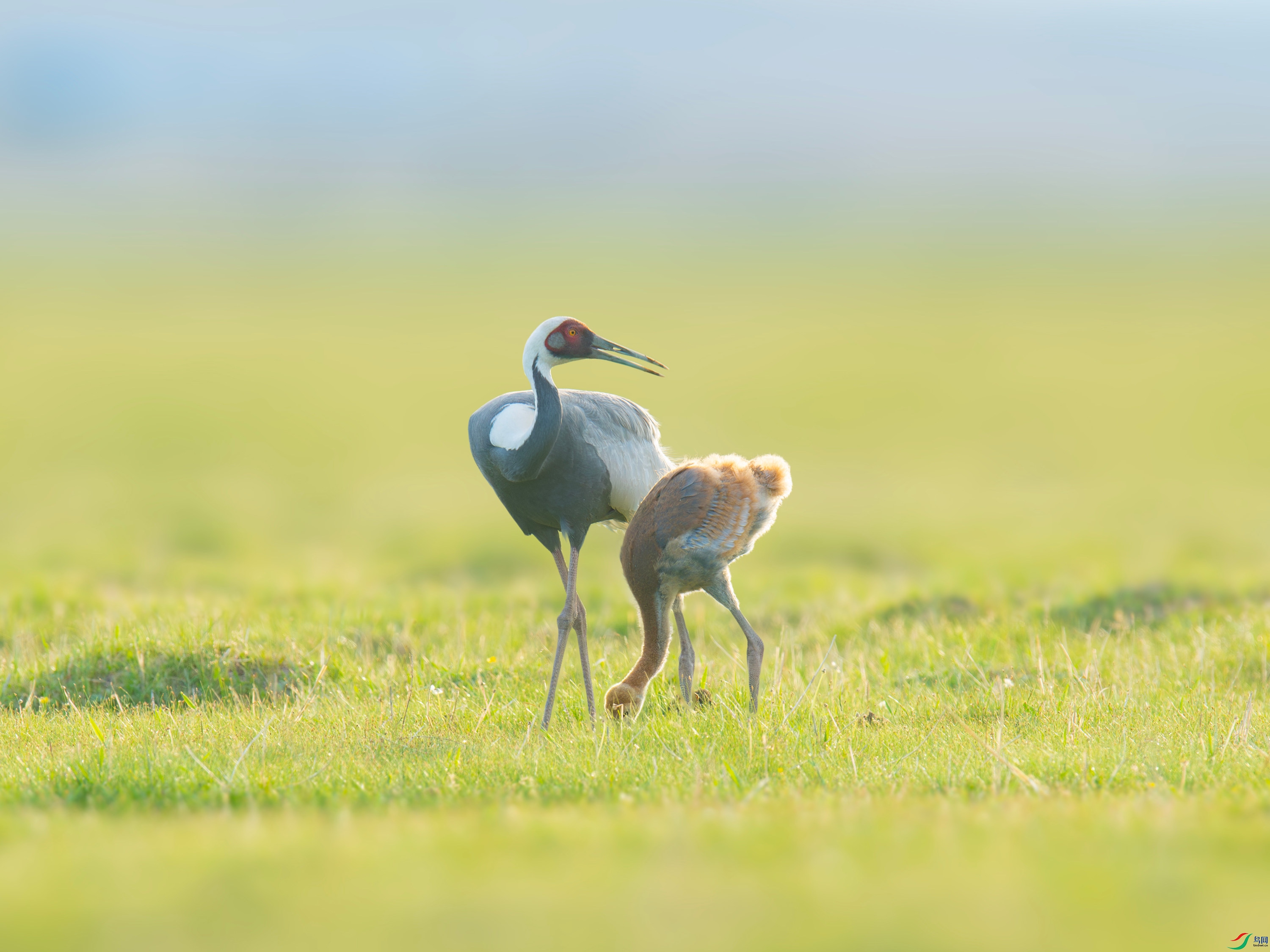 ������  (5).jpg