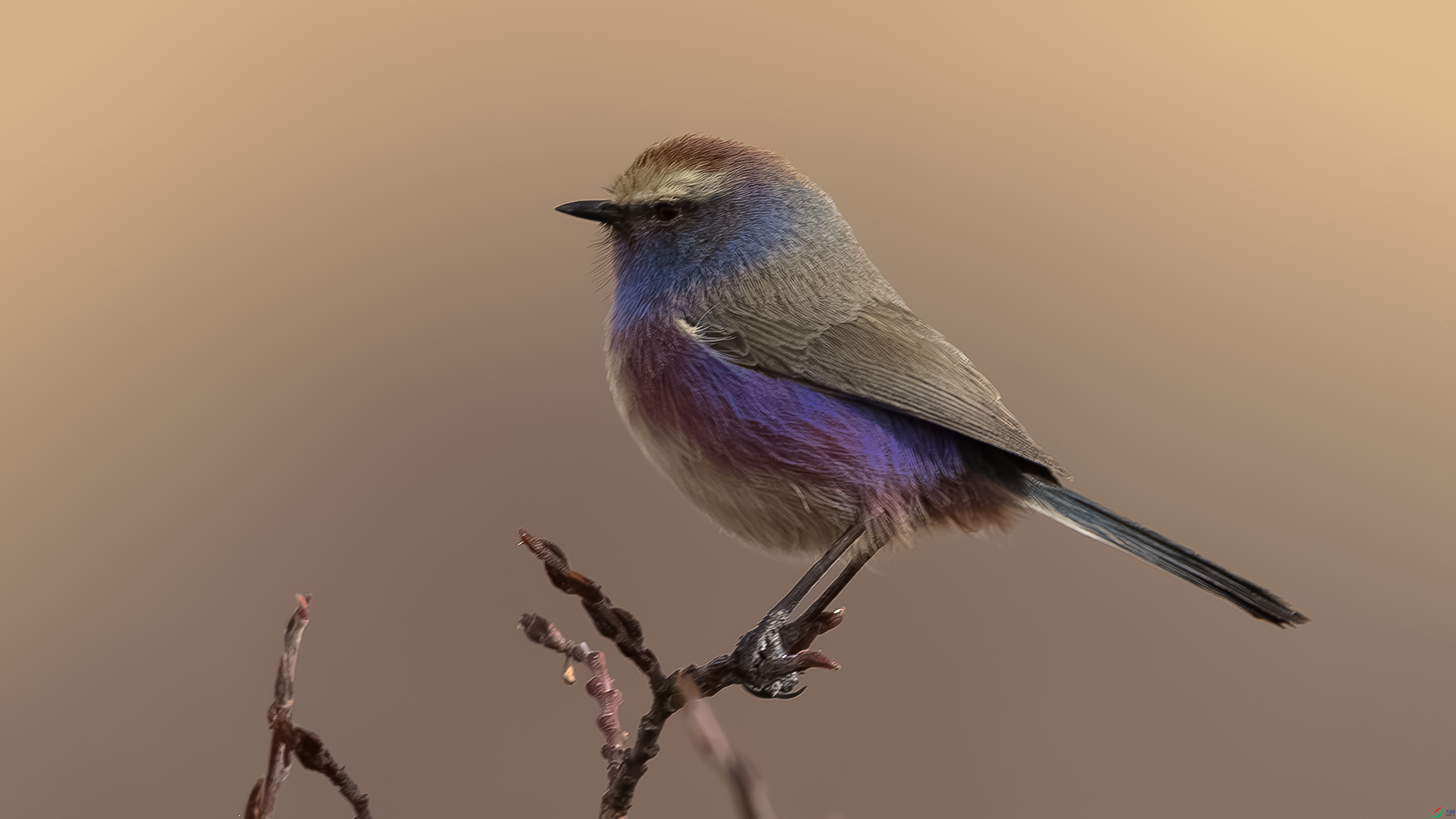 _O7A0715 ����ȸݺ.jpg