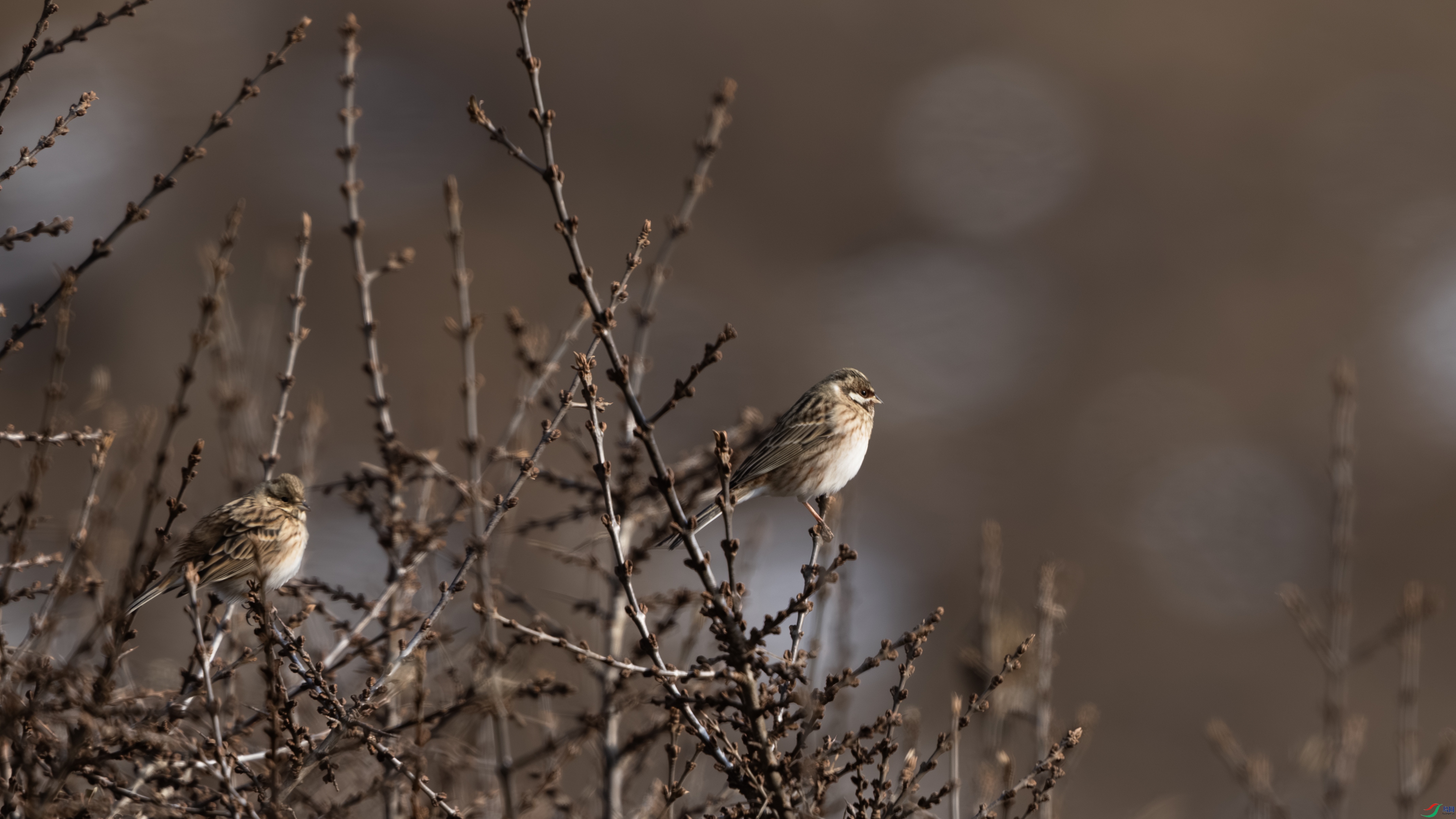 _O7A8066 ����.jpg