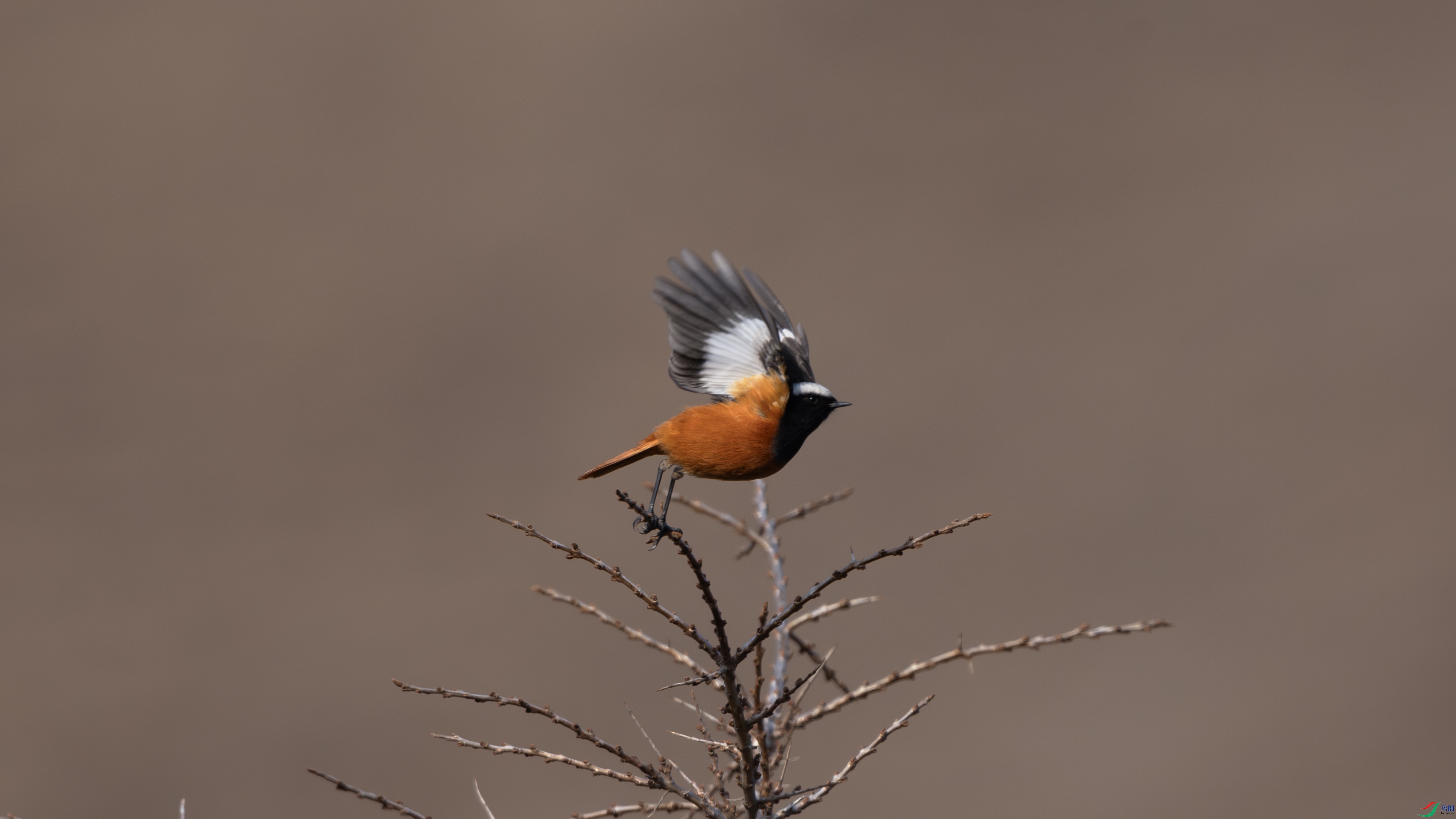 _O7A8342 ����.jpg