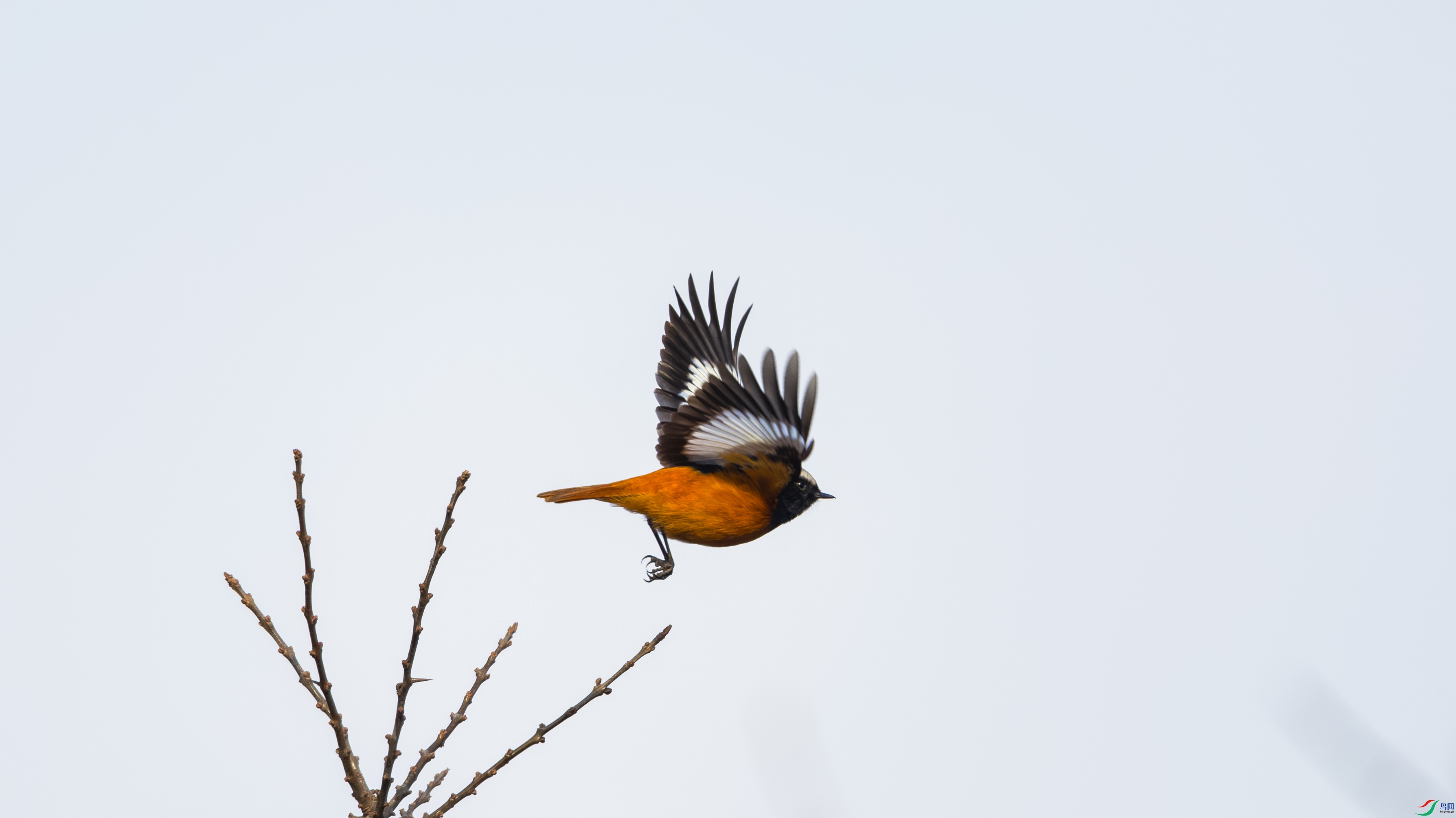 _O7A8431 ����.jpg