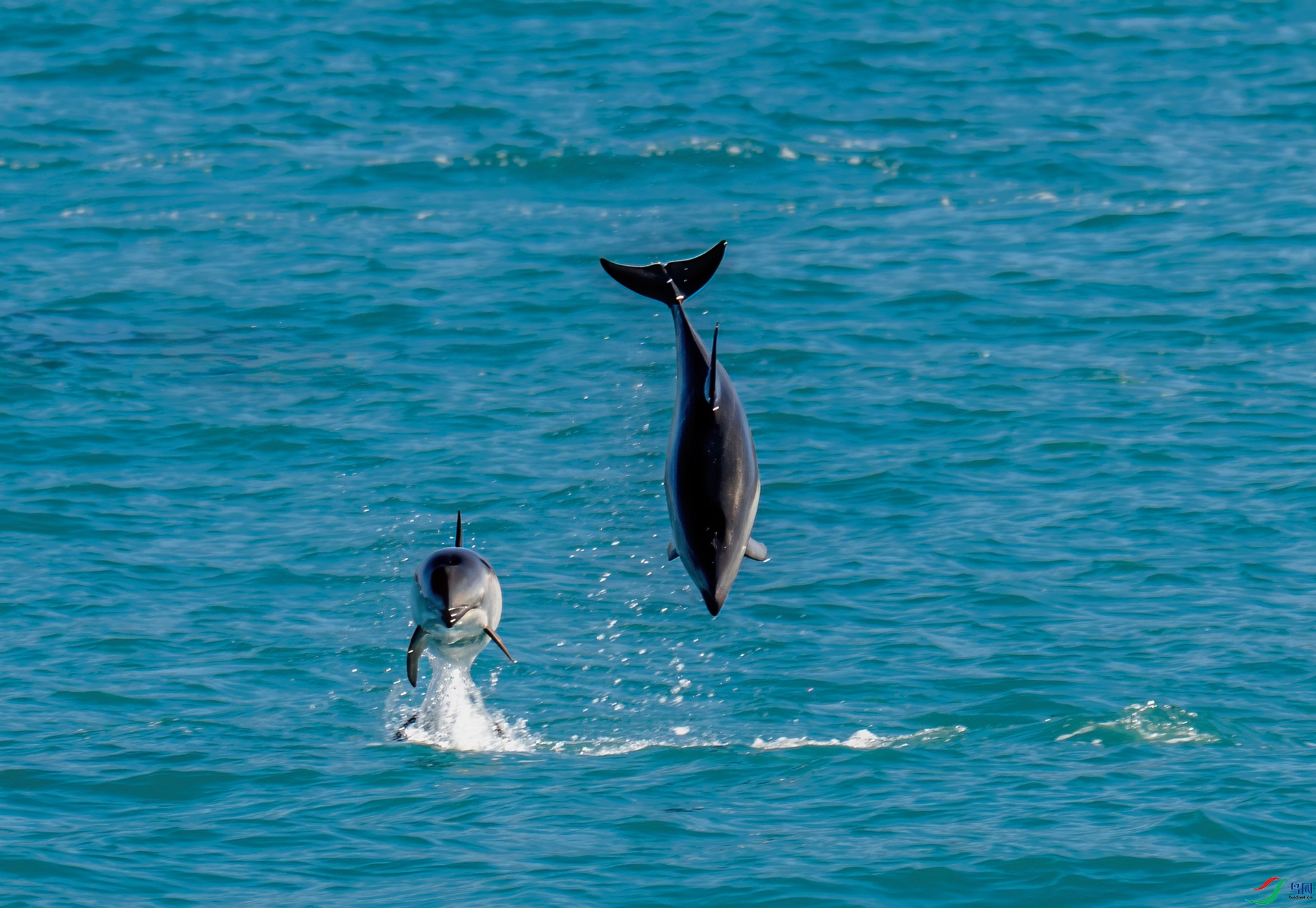 DSC_4284.jpg