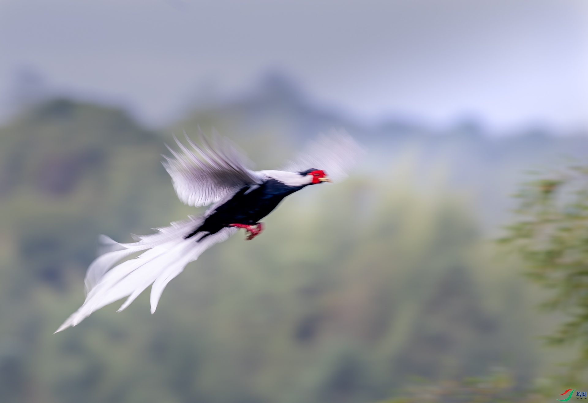 DSC_8357-3.jpg