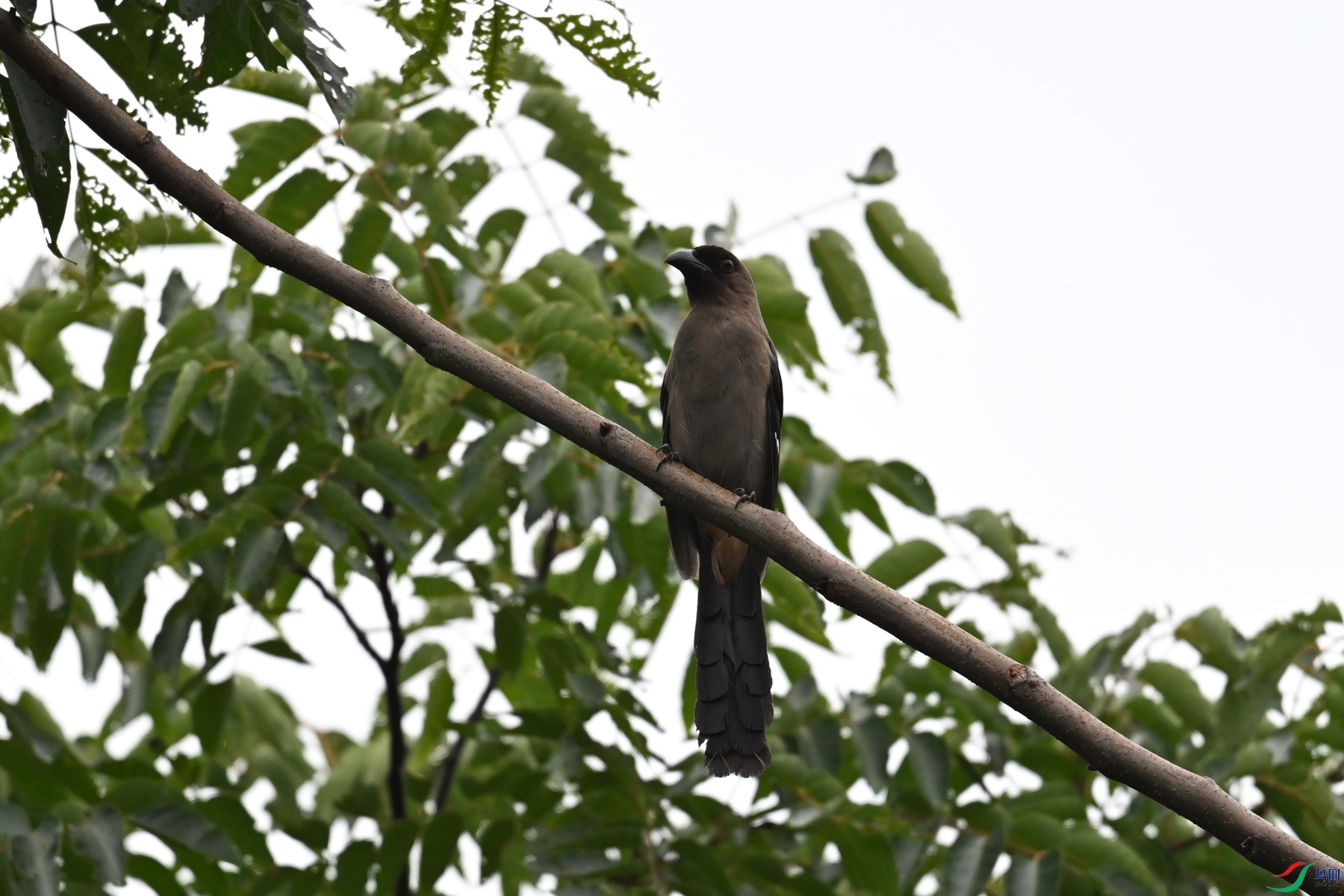 DSC_9722.JPG