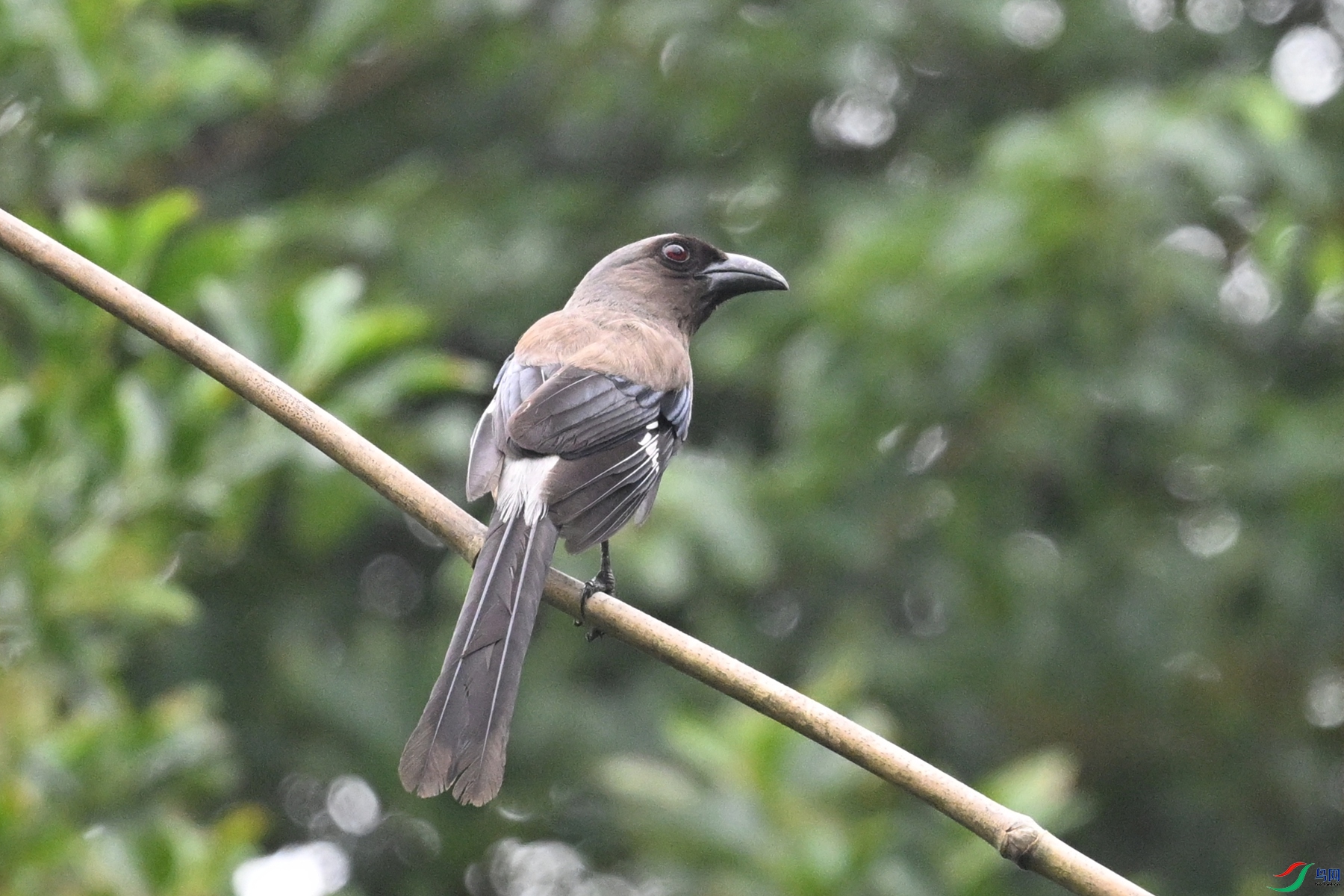 DSC_9723.JPG