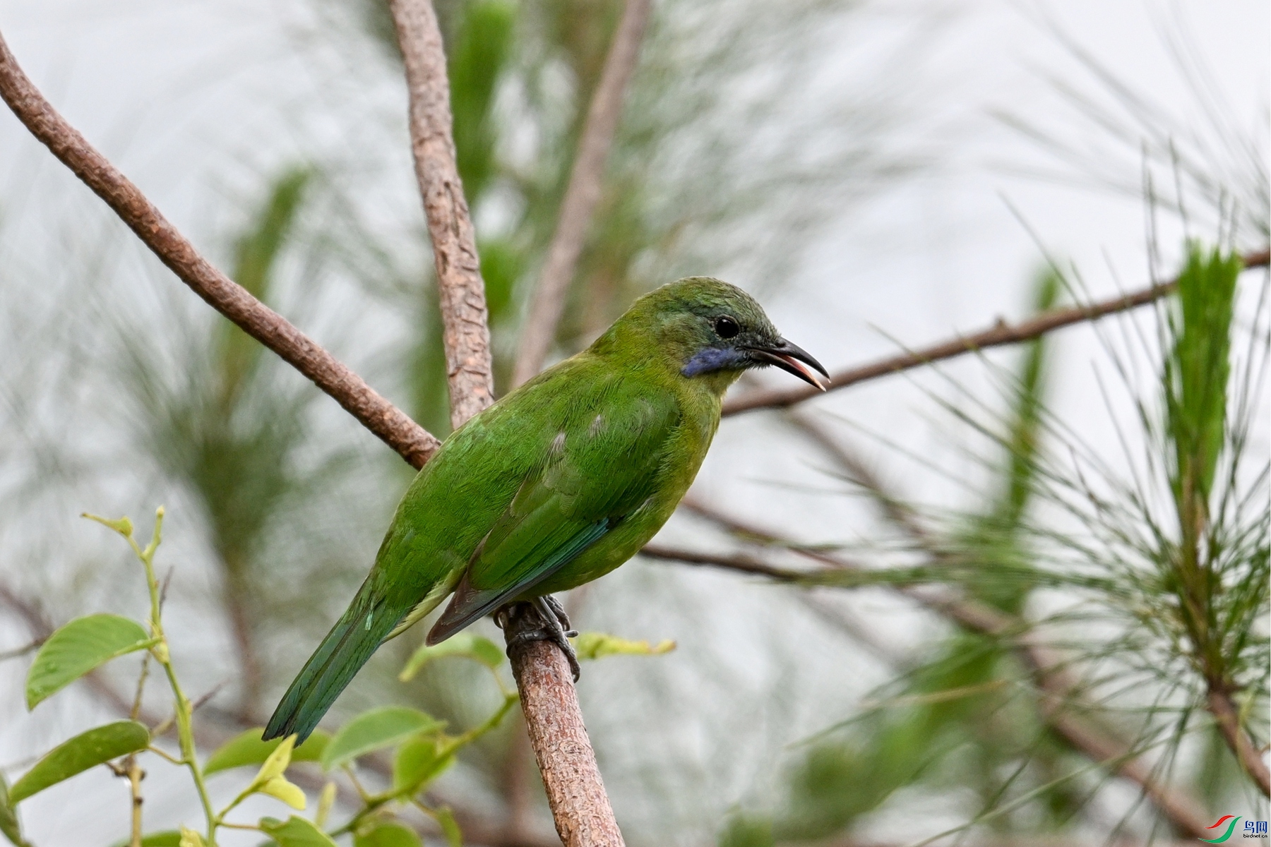 DSC_9765.JPG