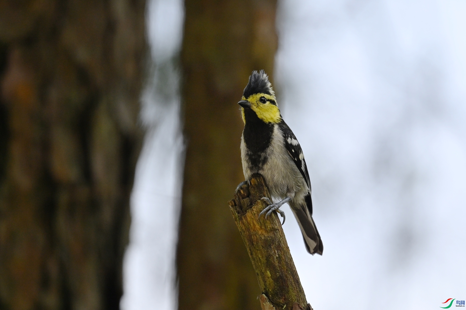 DSC_0074.JPG