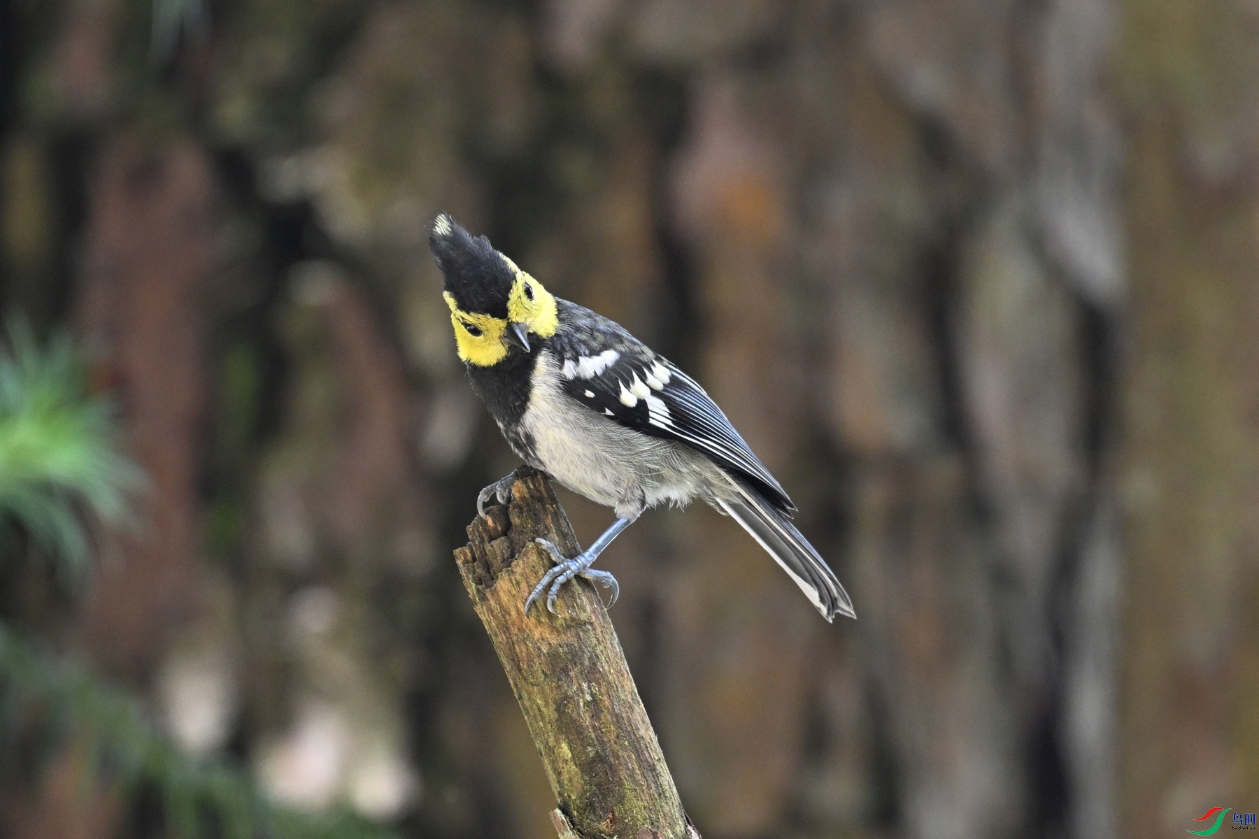 DSC_0080.JPG