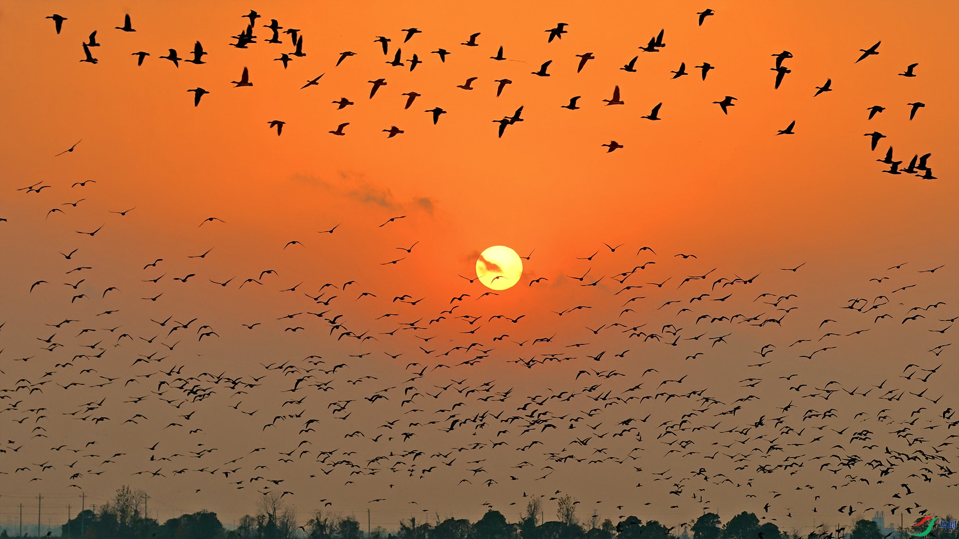 DSC_5516 ����.jpg