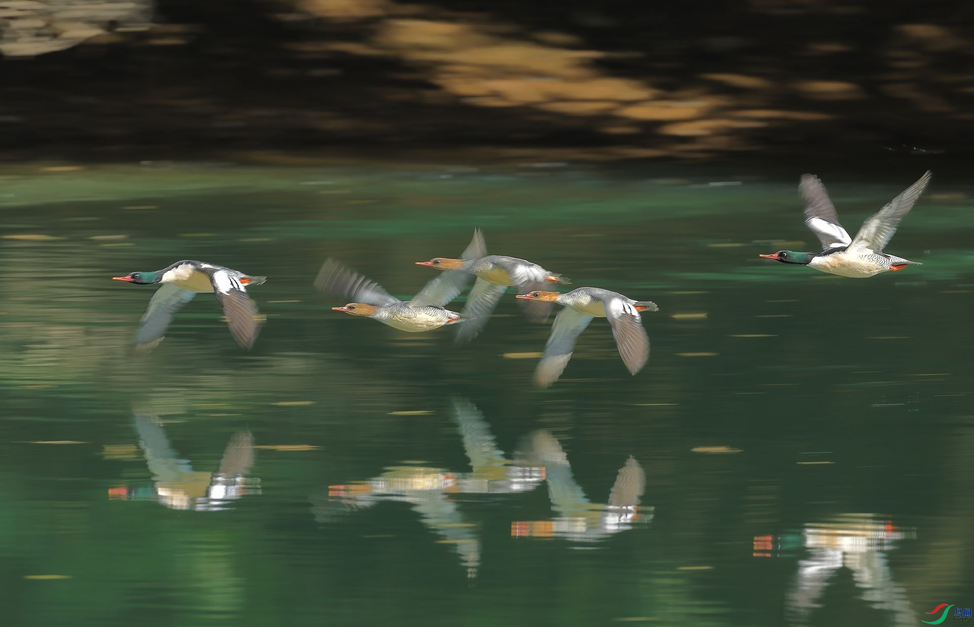 0X2A5767.JPG