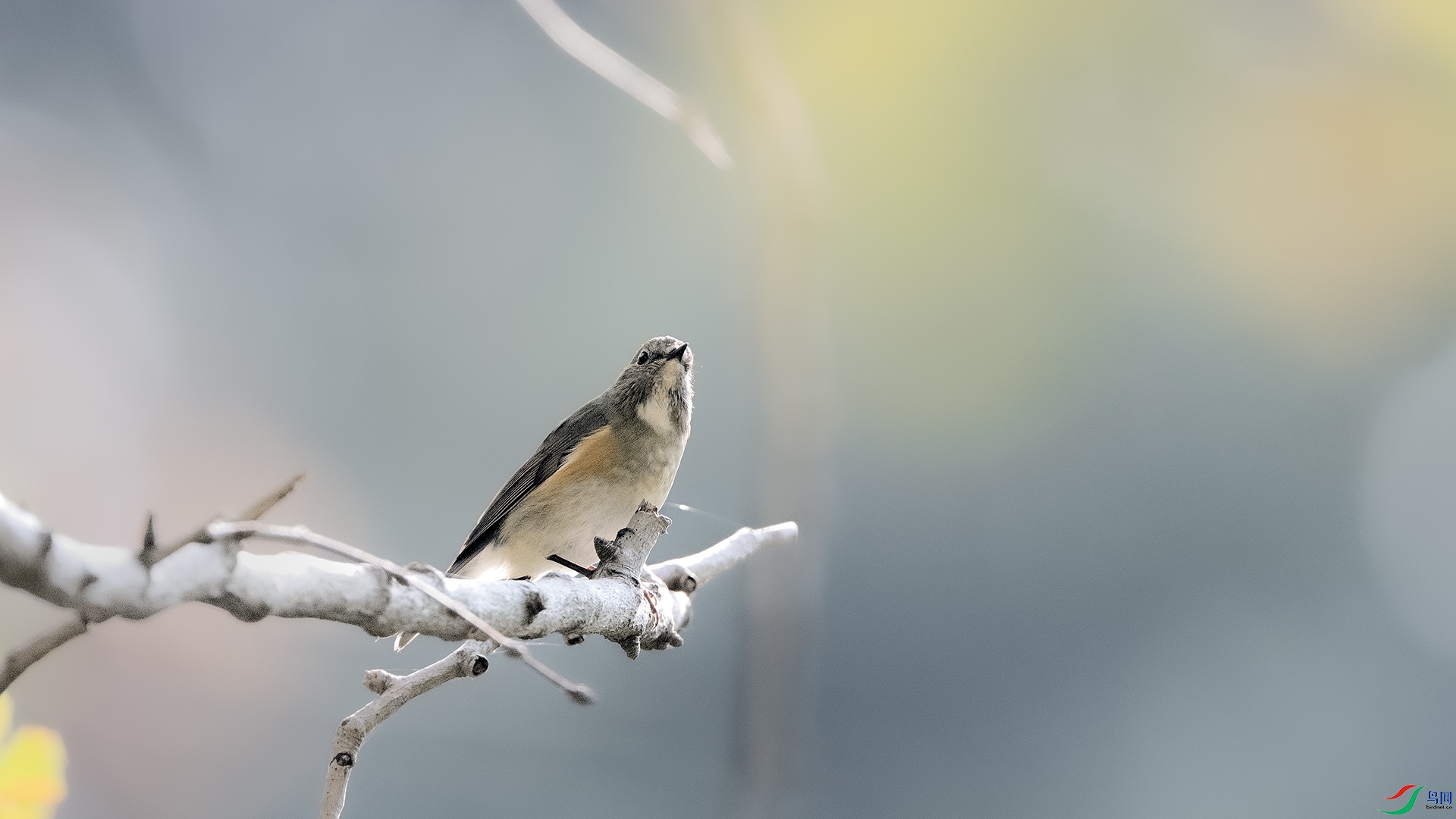 DSC_1571 ����.jpg