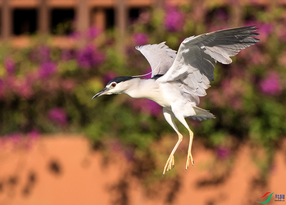 DSC_4231ҹ��.jpg