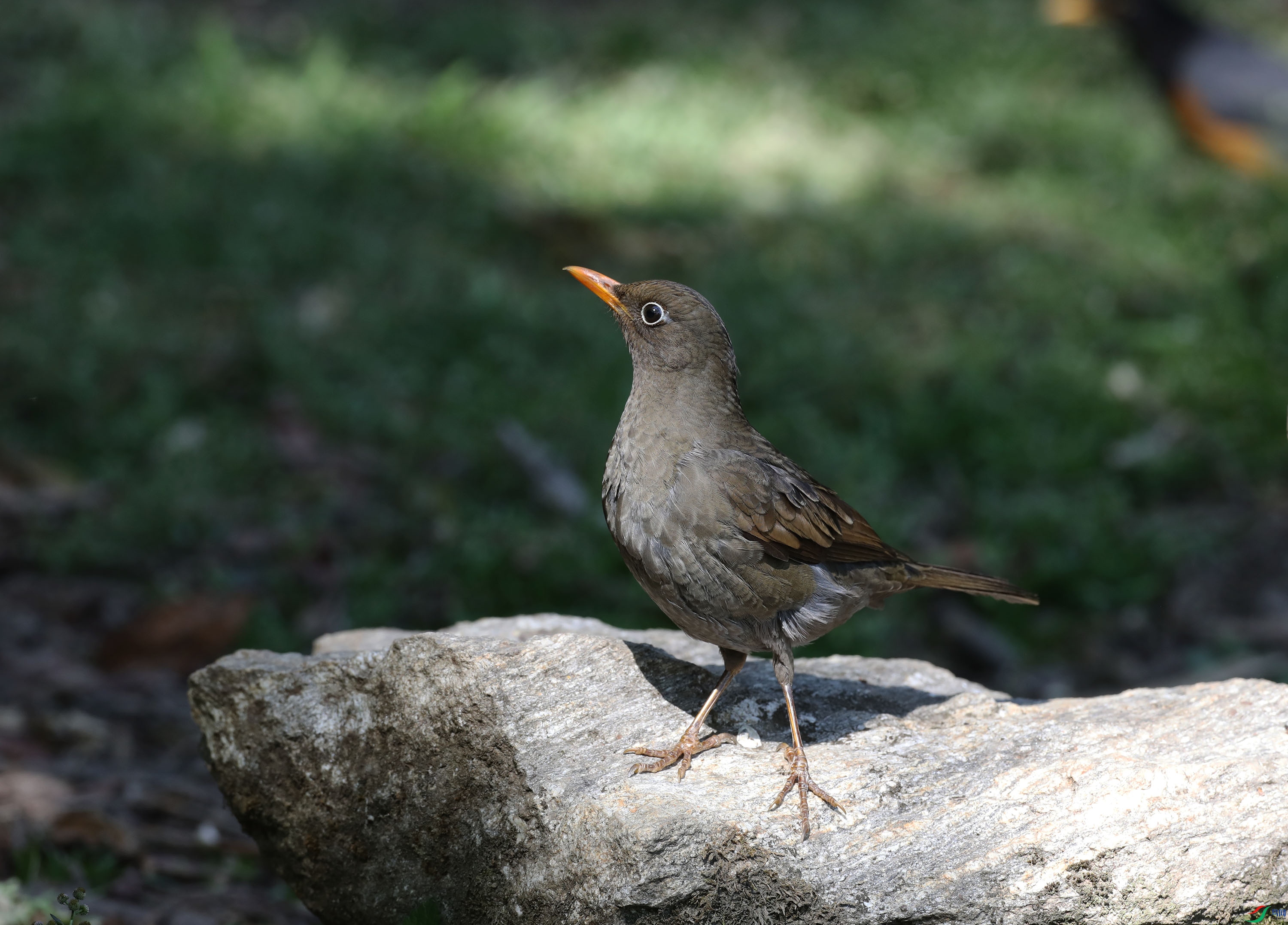 503A8019.jpg