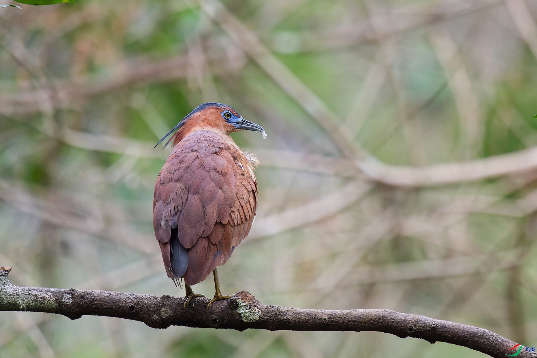 DSC_7689_DxO_DxOa.jpg