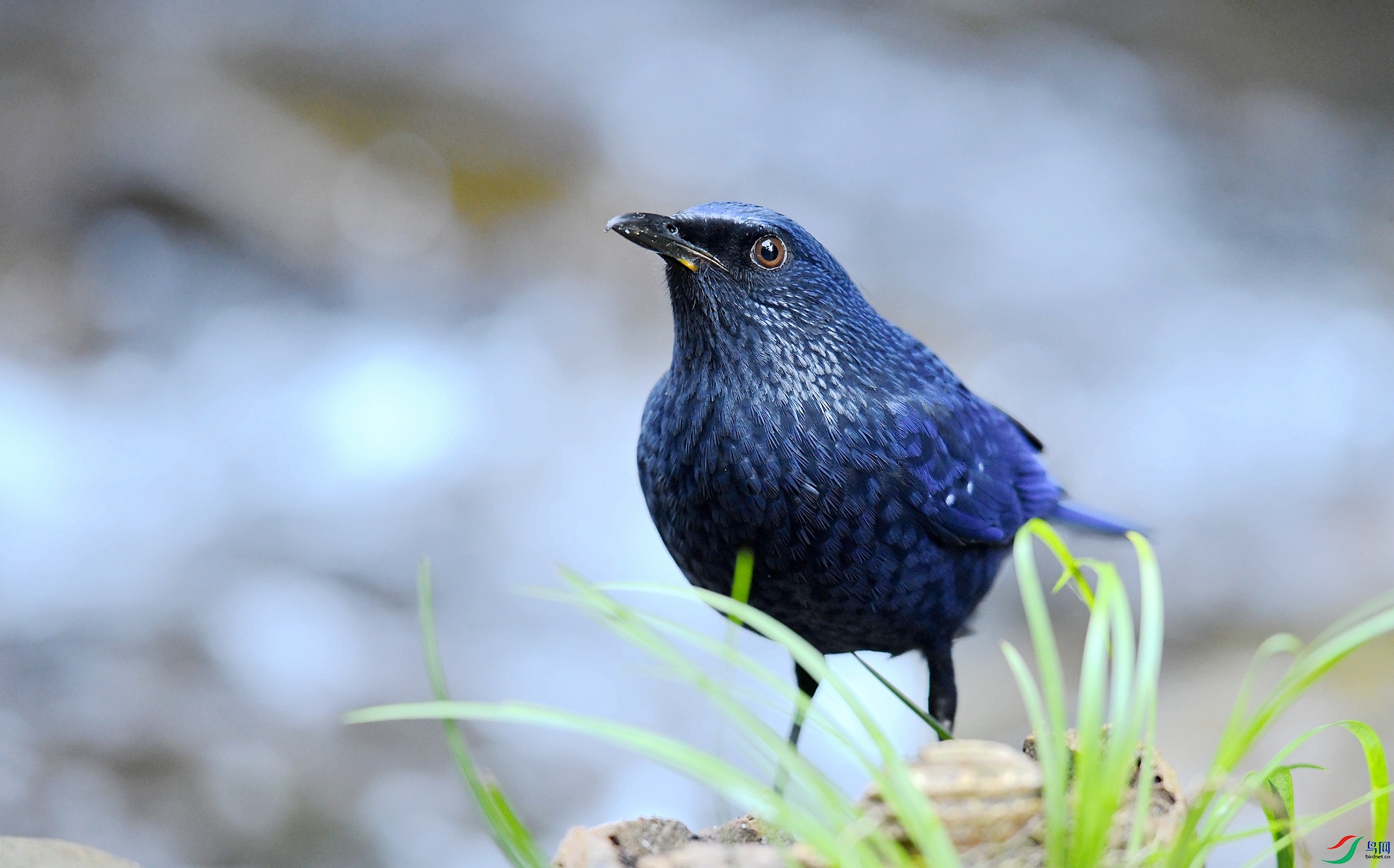 DSC_5293.jpg