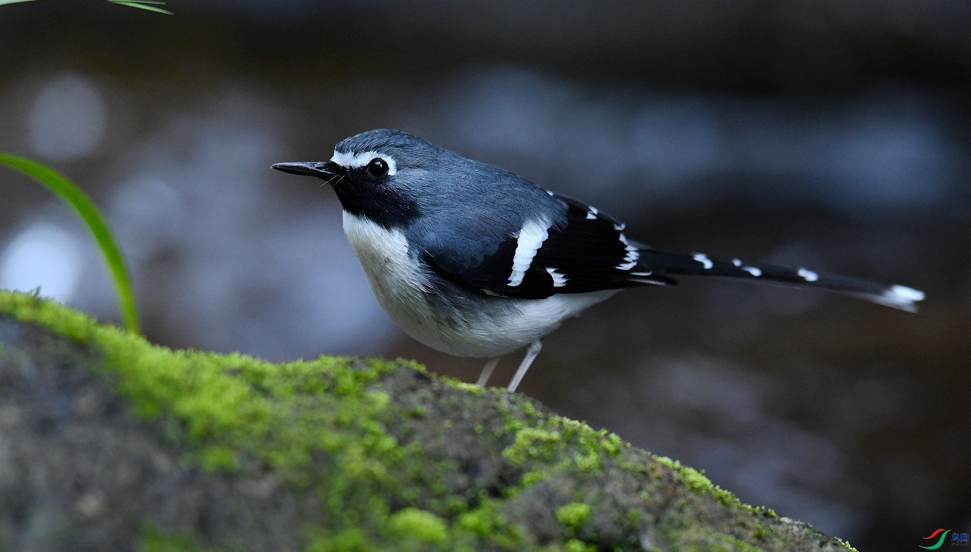 DSC_5361.jpg