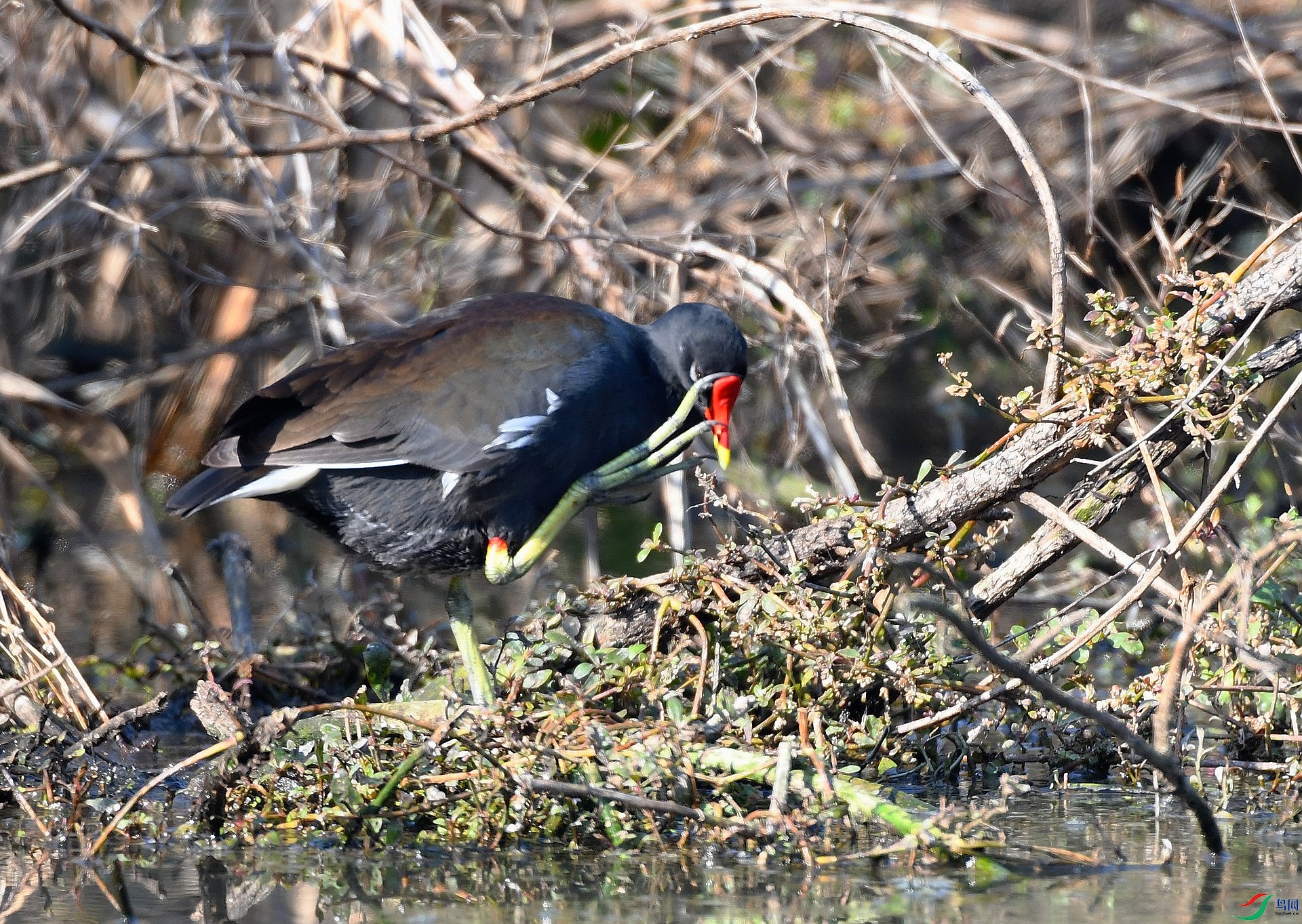 DSC_8867.jpg