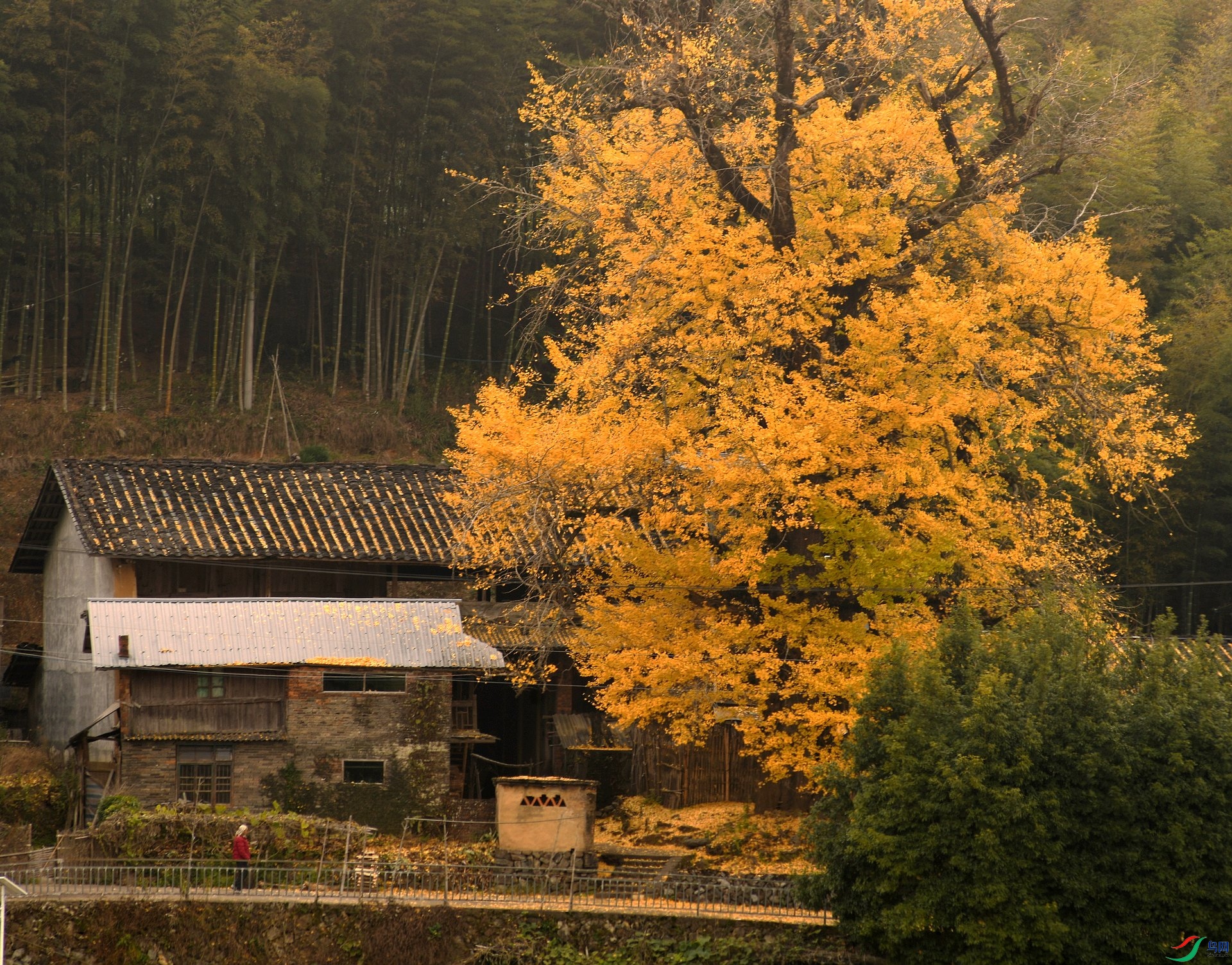 DSC_0193.jpg