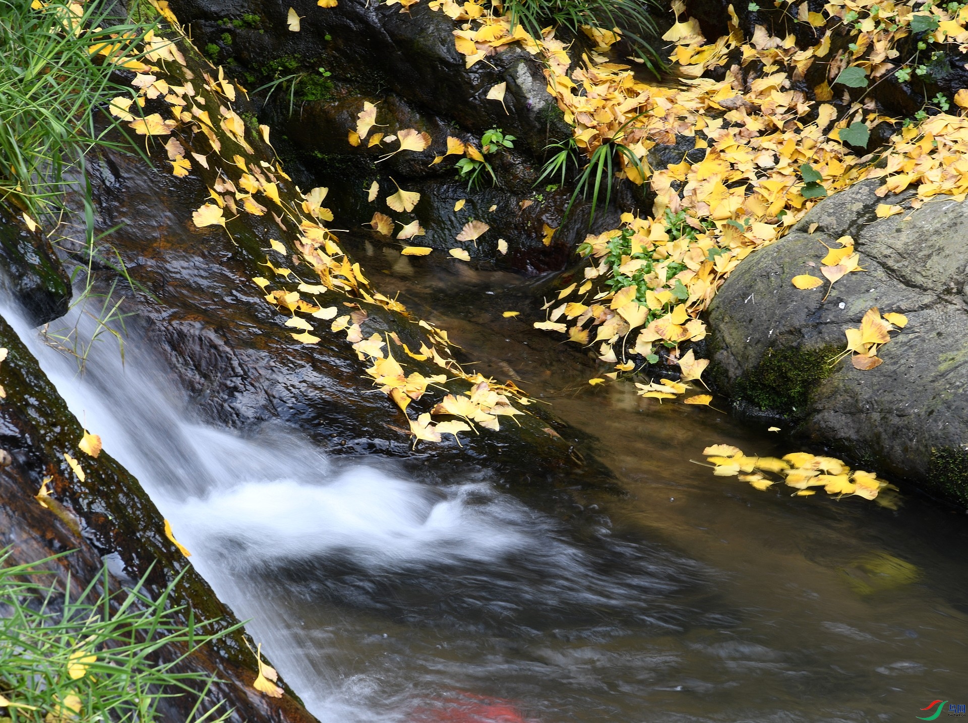 DSC_0336.jpg