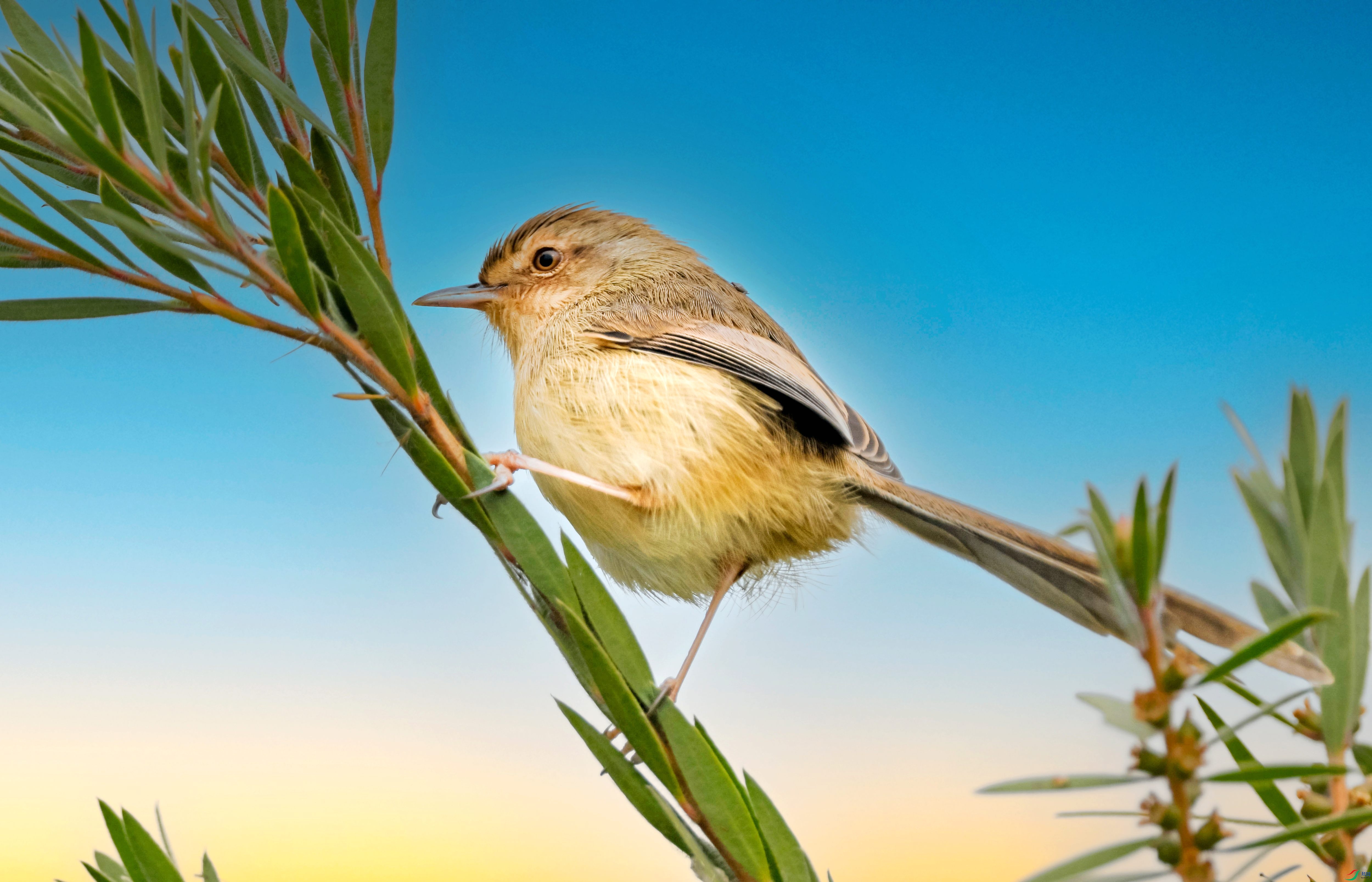 20251207-DSC_8434 ����_����.jpg