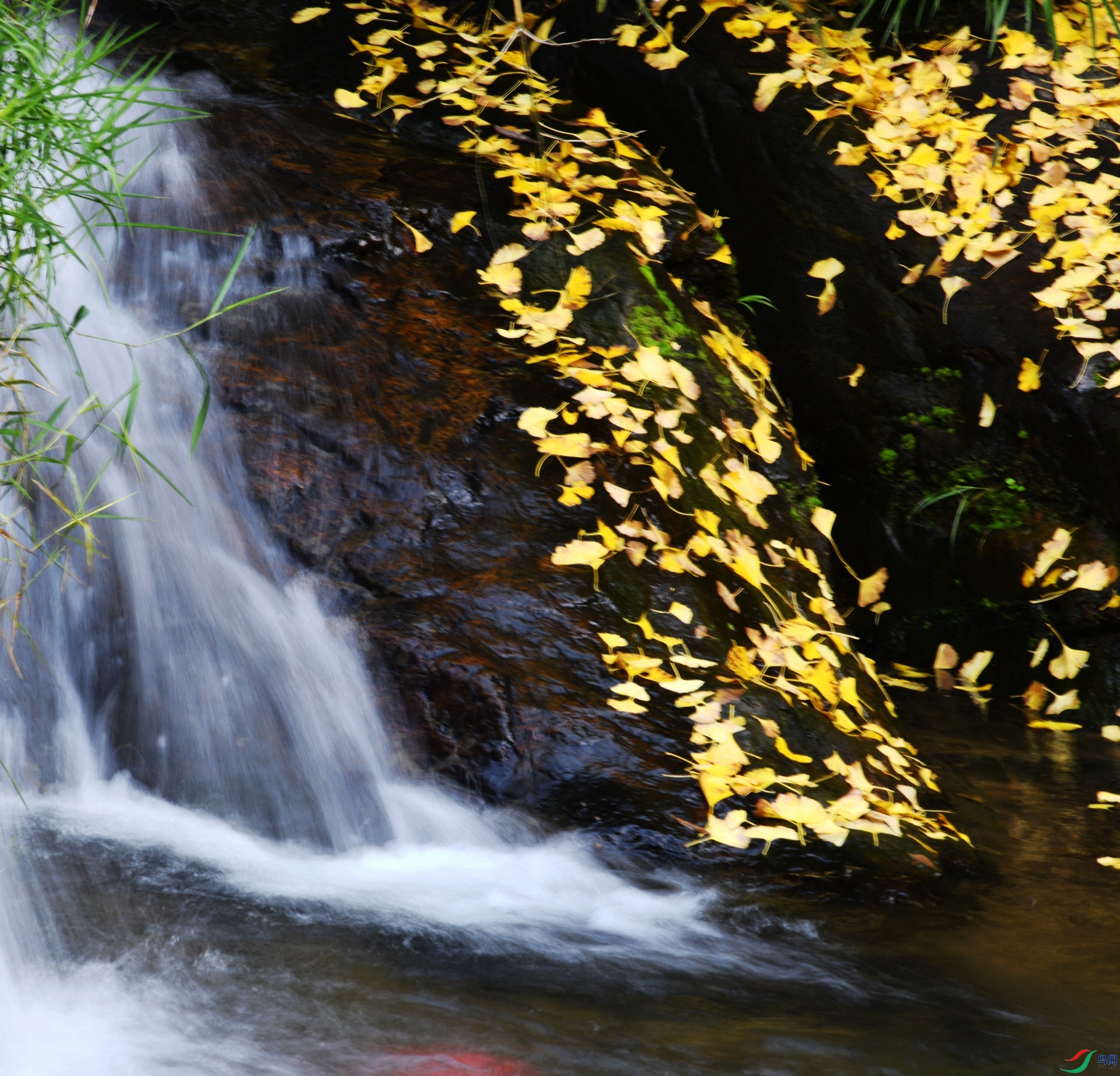 DSC_0273.jpg