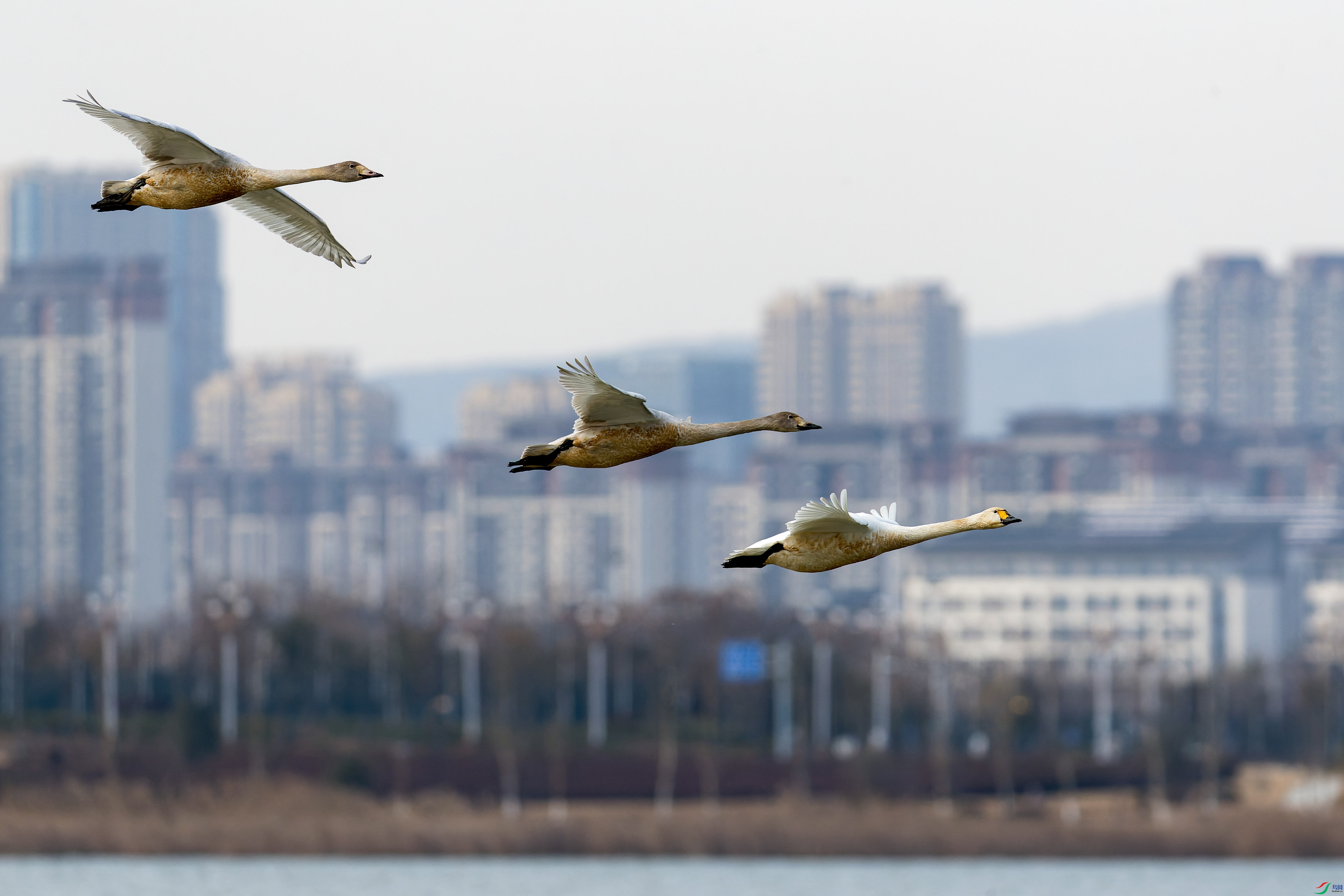 2X2_2033-CR2_DxO_DeepPRIME-1.jpg