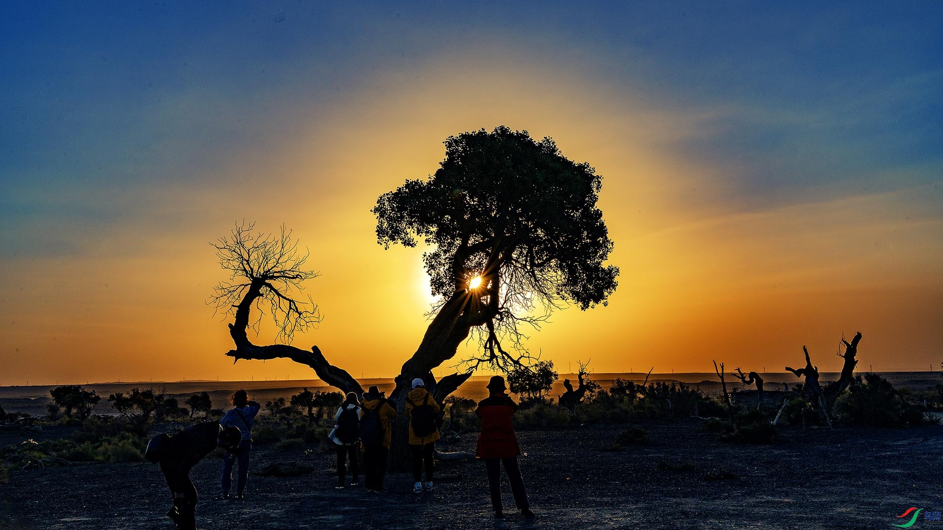 ����֮��