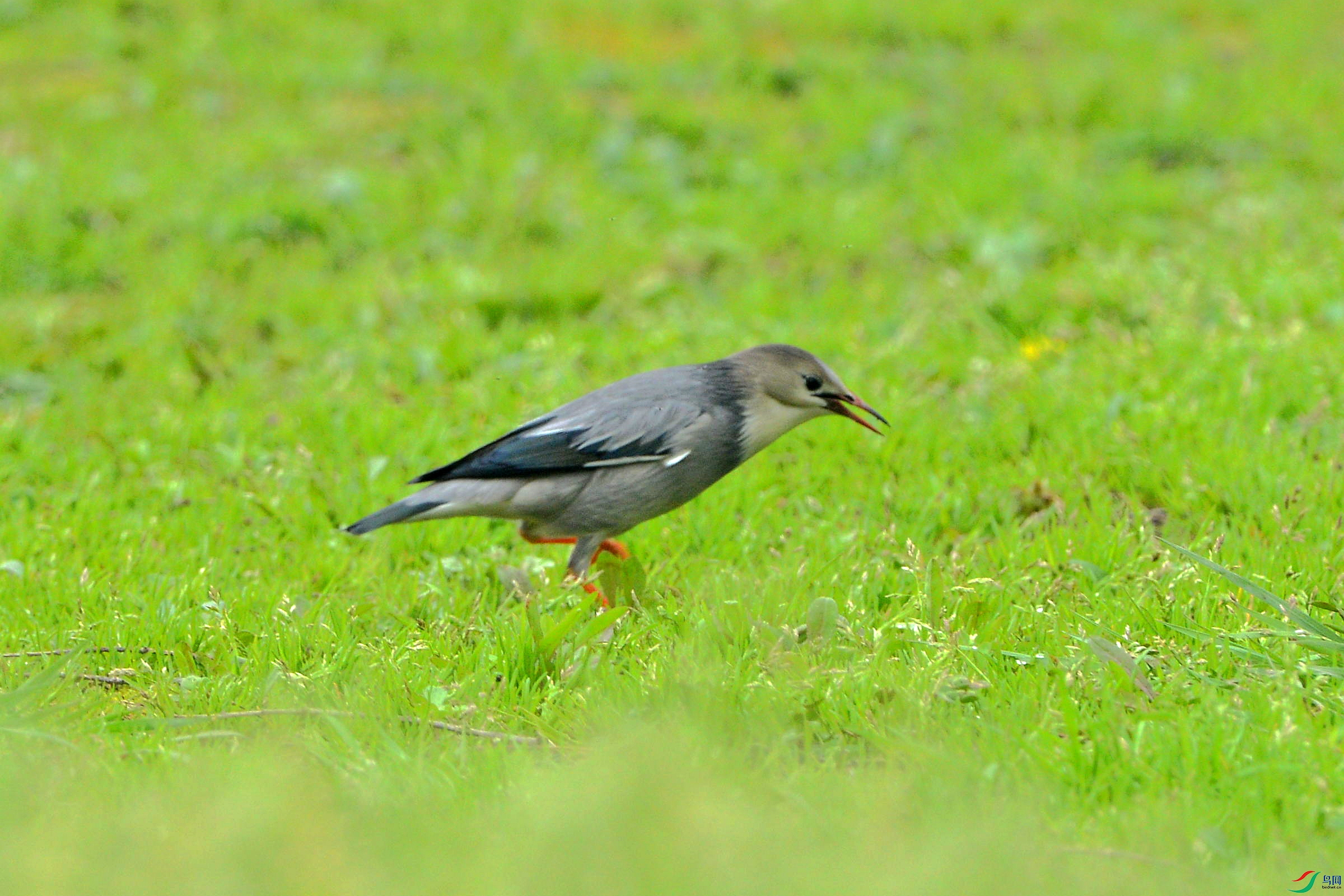 DSC_8652_����.jpg