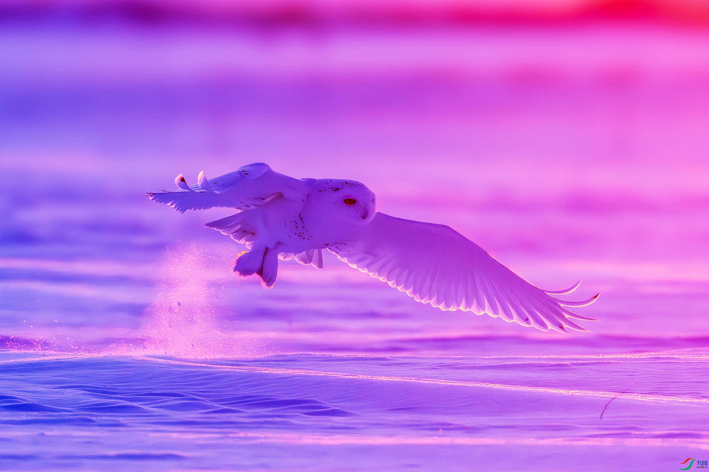DSC07013-����ǿ-NR.jpg