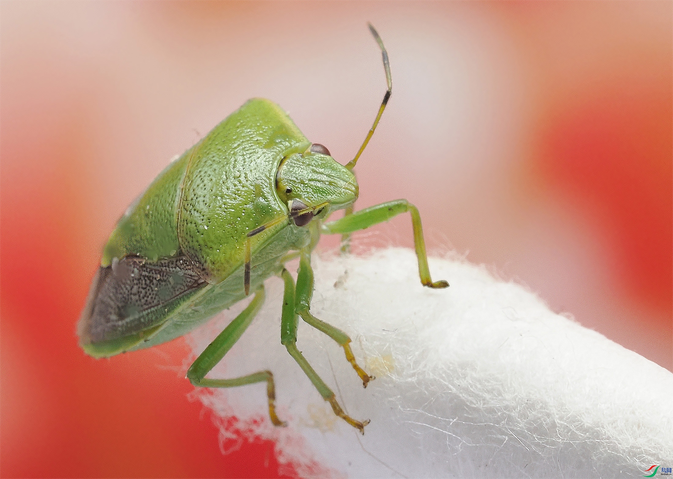 PA230007 ���� 2.jpg