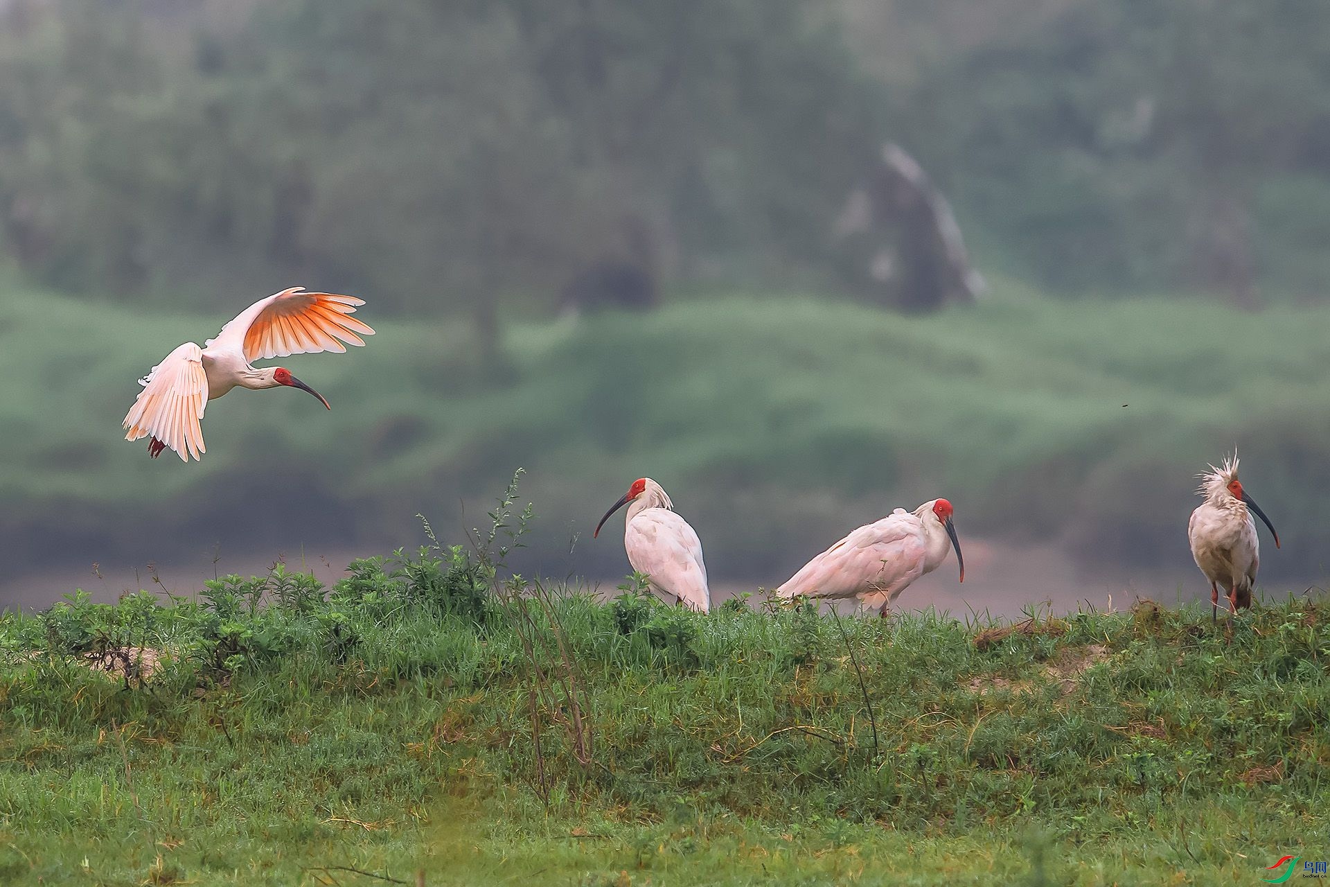 DSC_5850.jpg