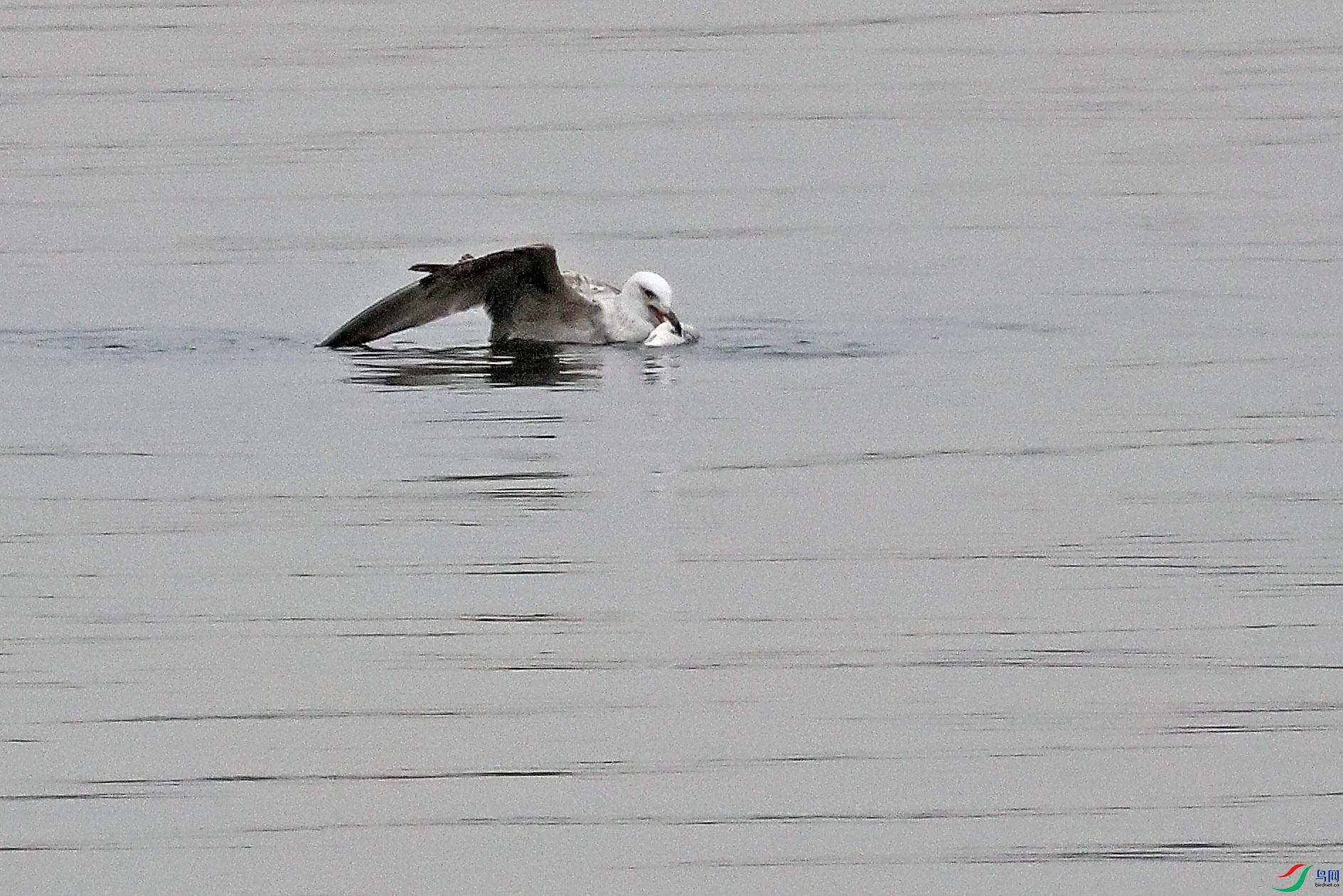 2G9A6583.JPG