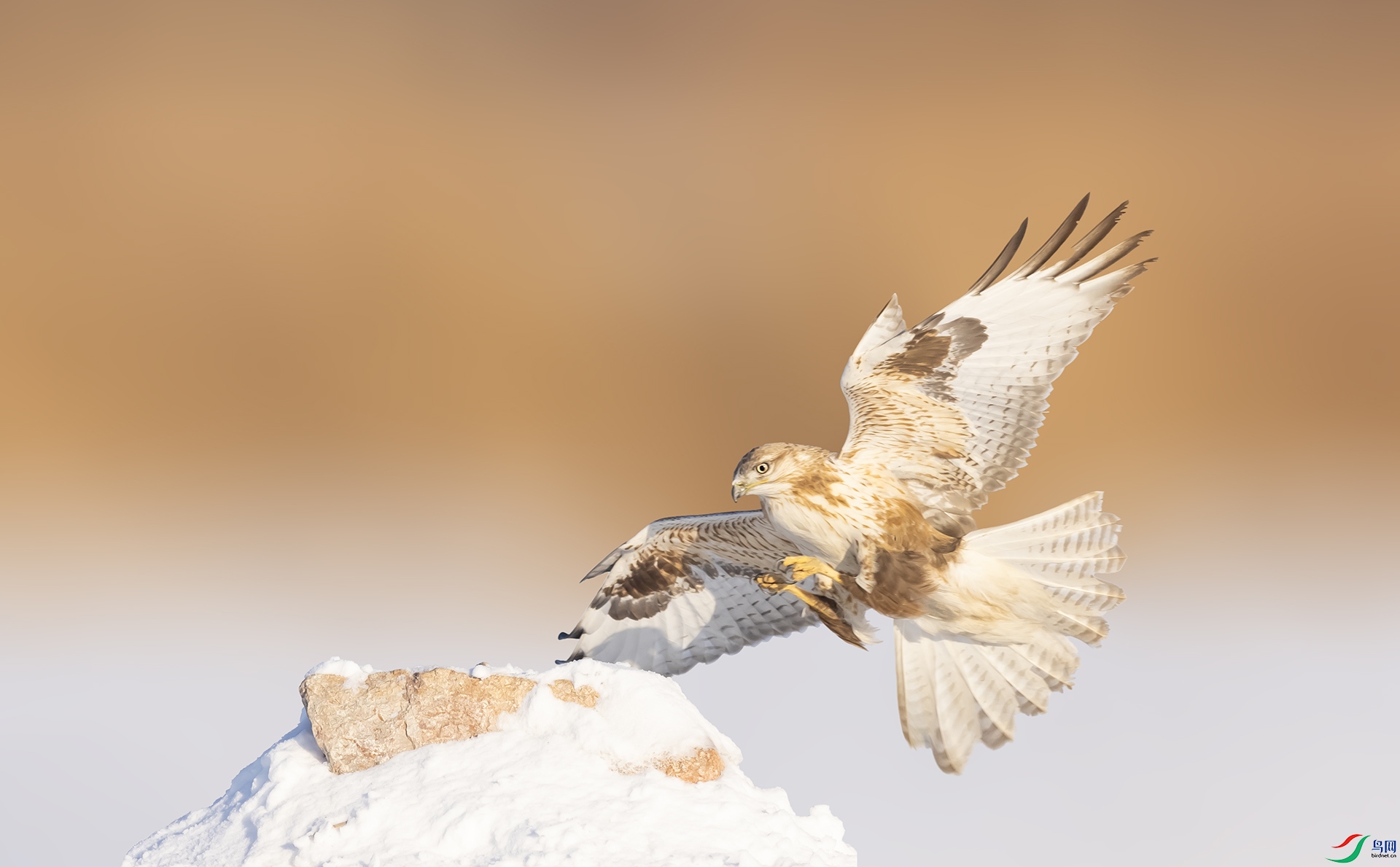 019A6529 ����2.jpg