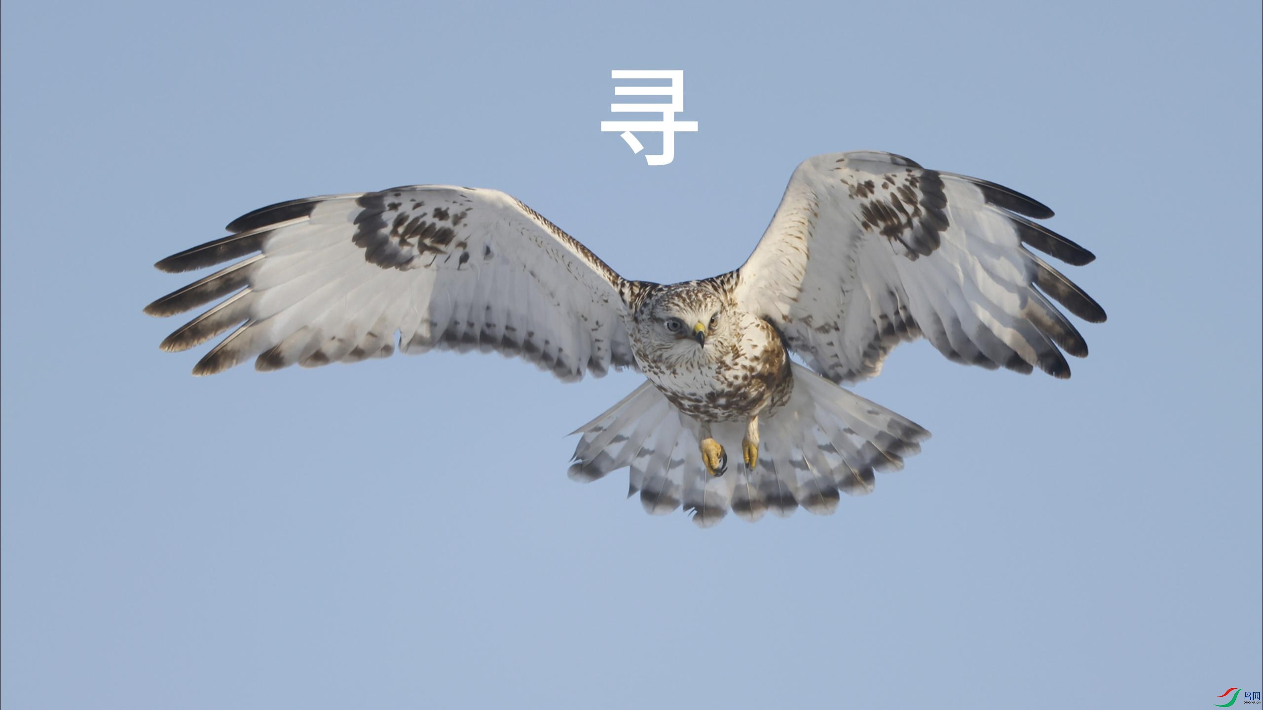 12��25�� (2)-����.jpg