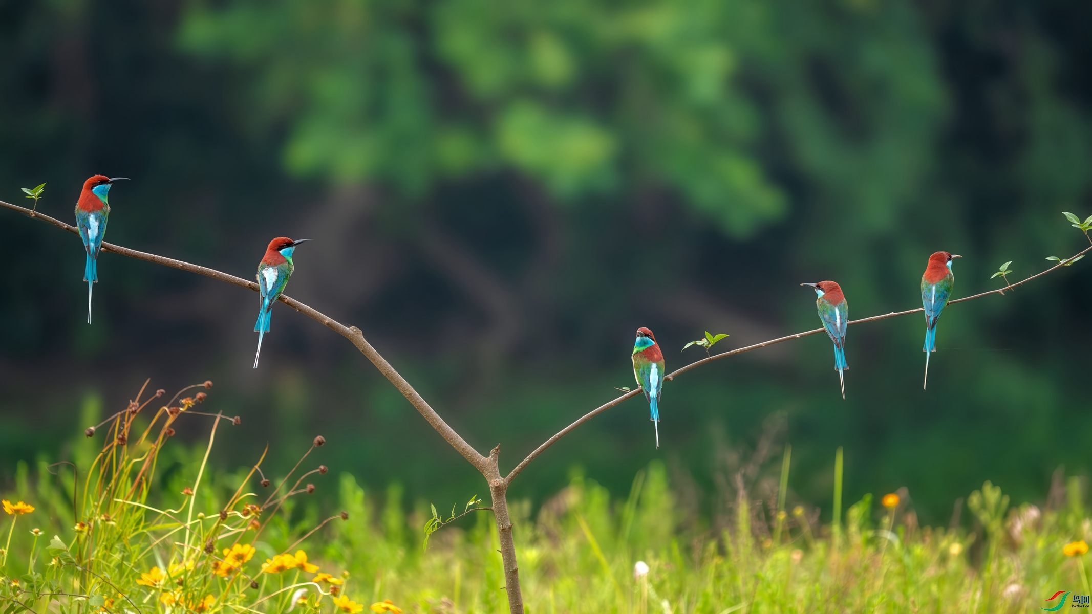 _DSC0591 ����_����.jpg