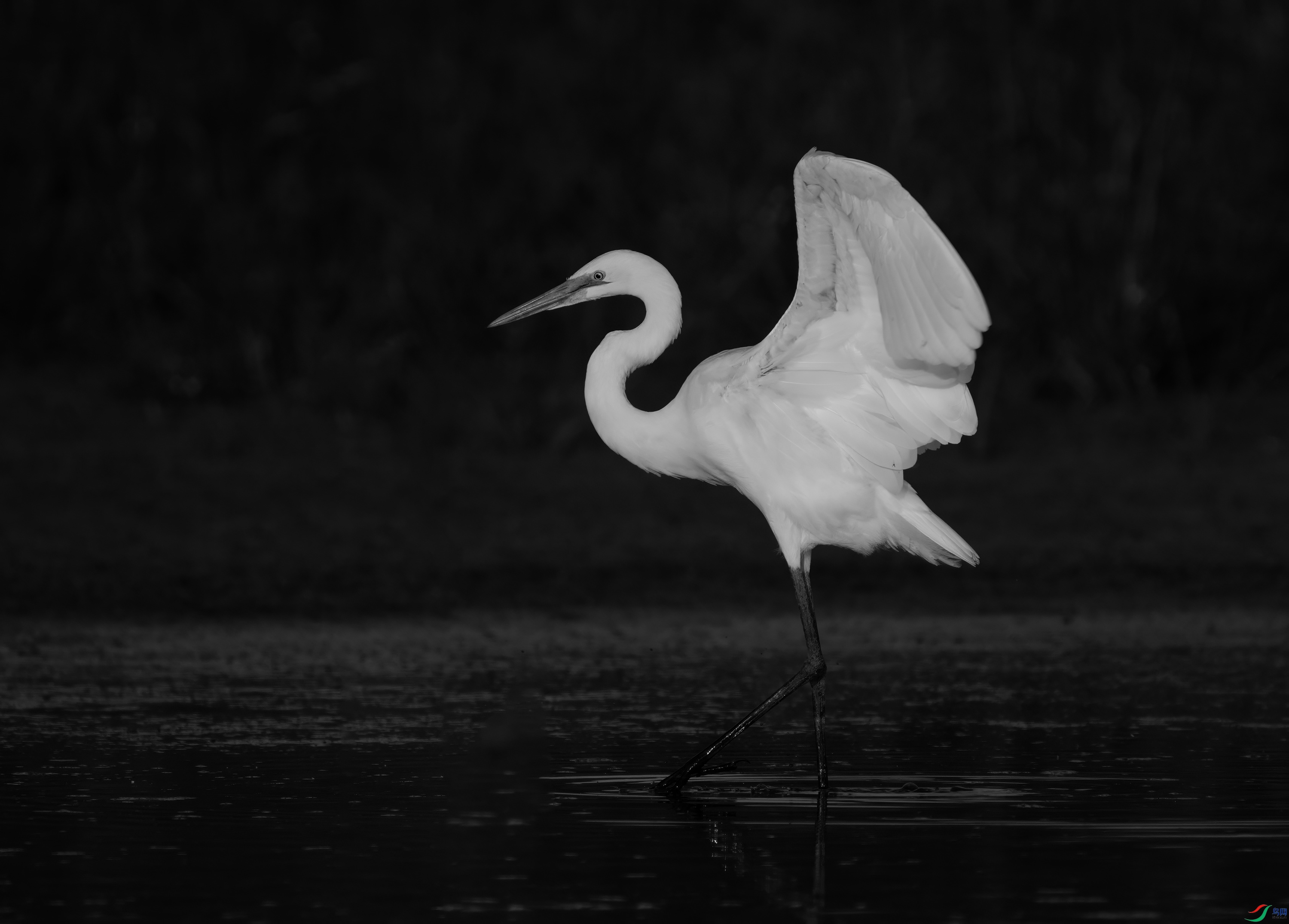 DSC09114 ����.jpg