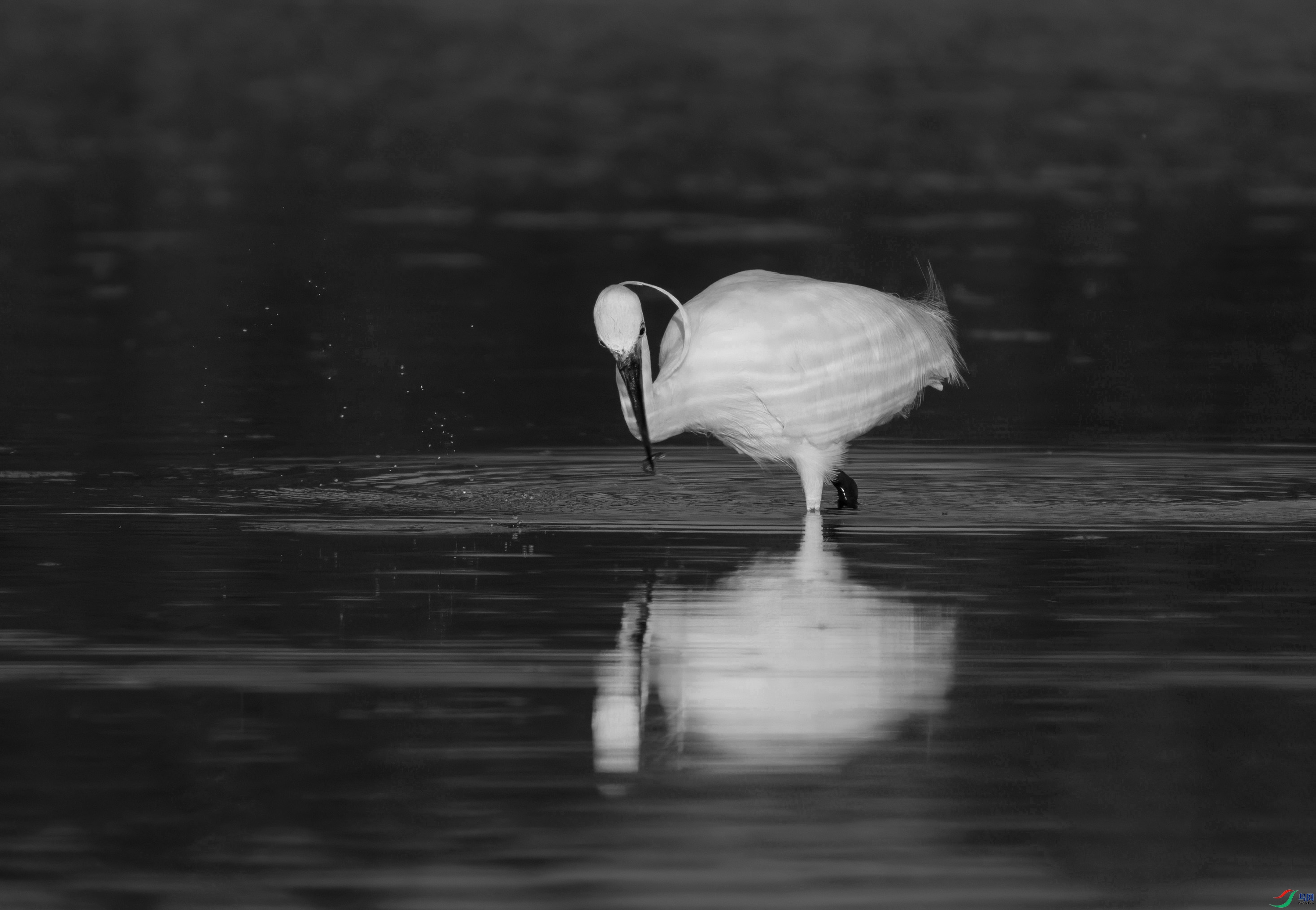 DSC01474 ���� 2.jpg