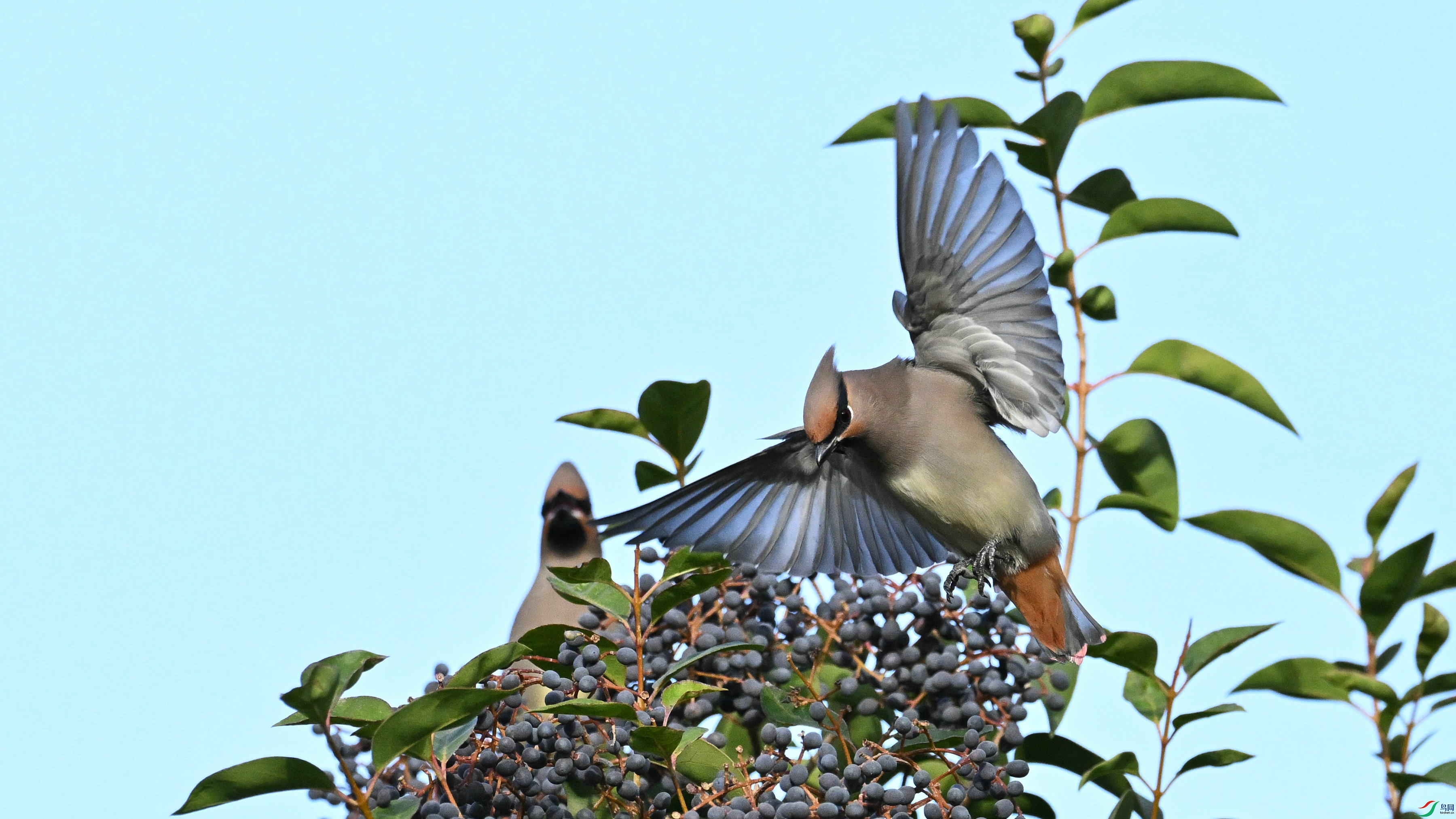 DSC_5845.JPG