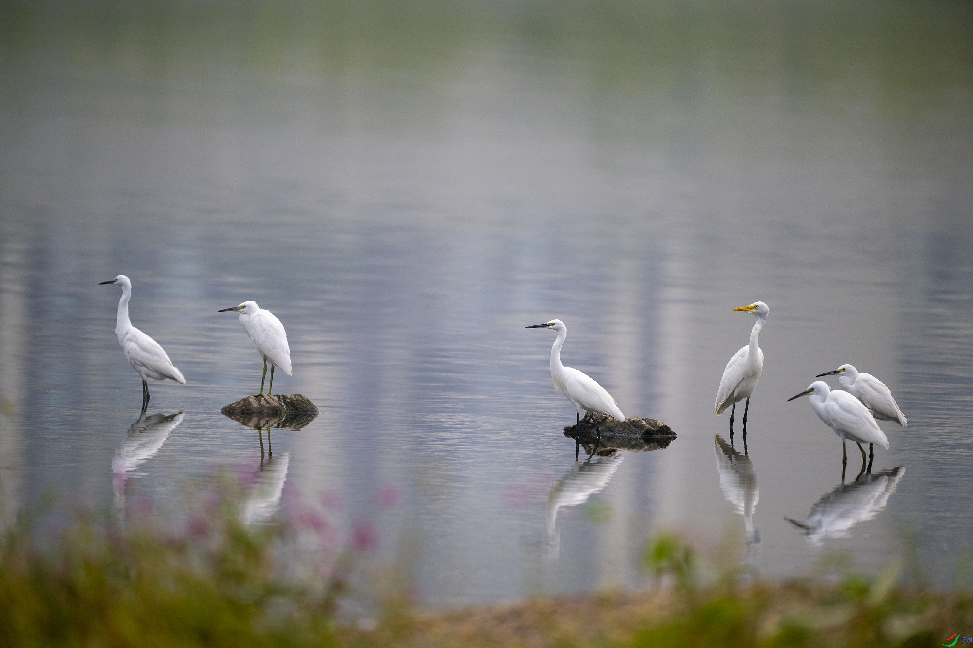 DSC_6411.jpg