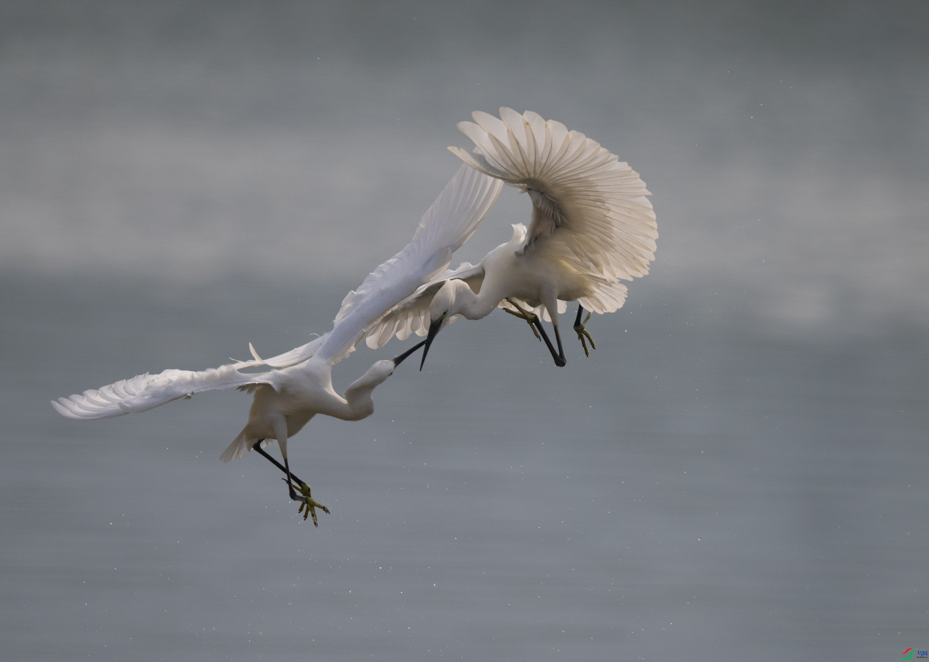 DSC_6663.jpg