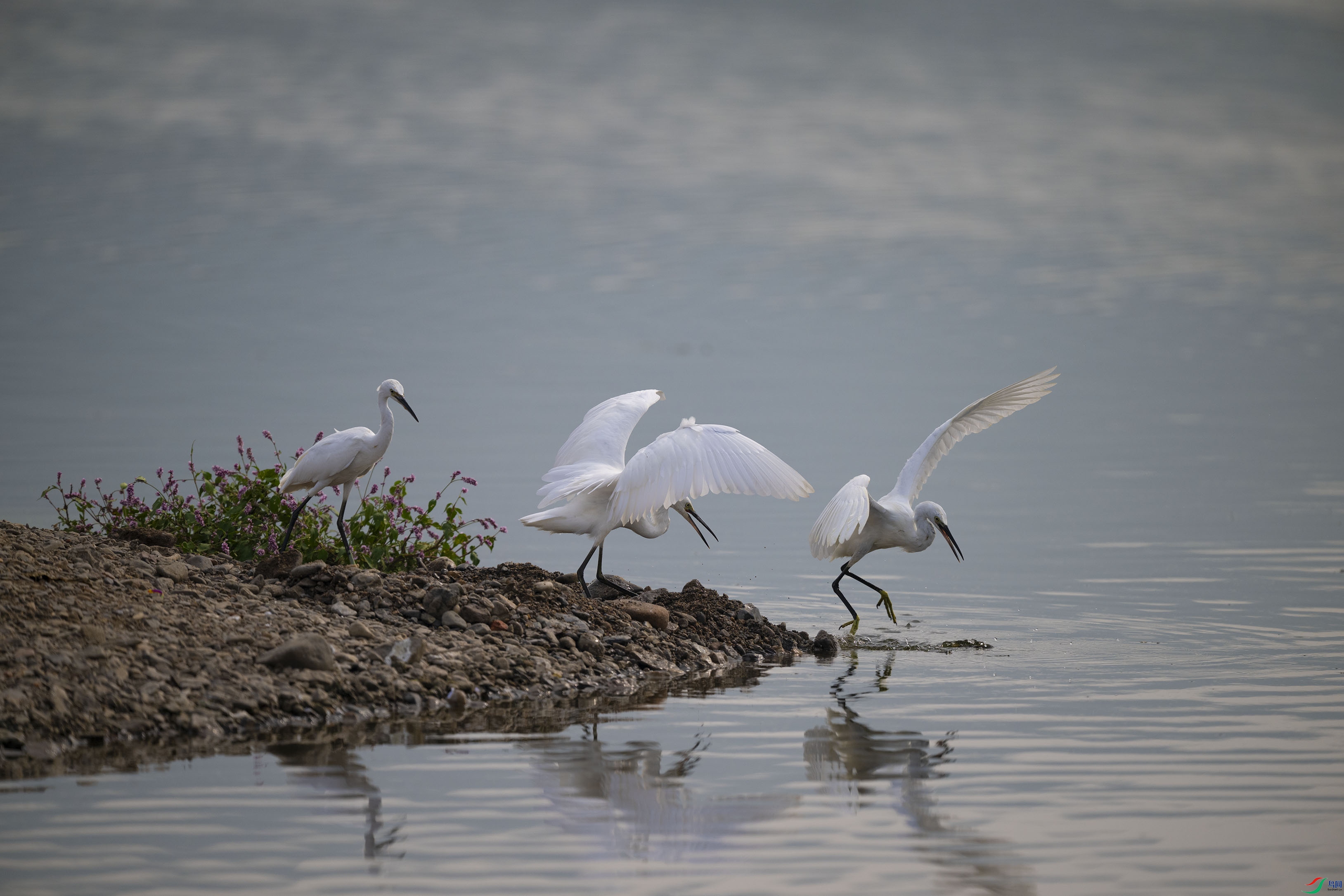 DSC_7138.jpg