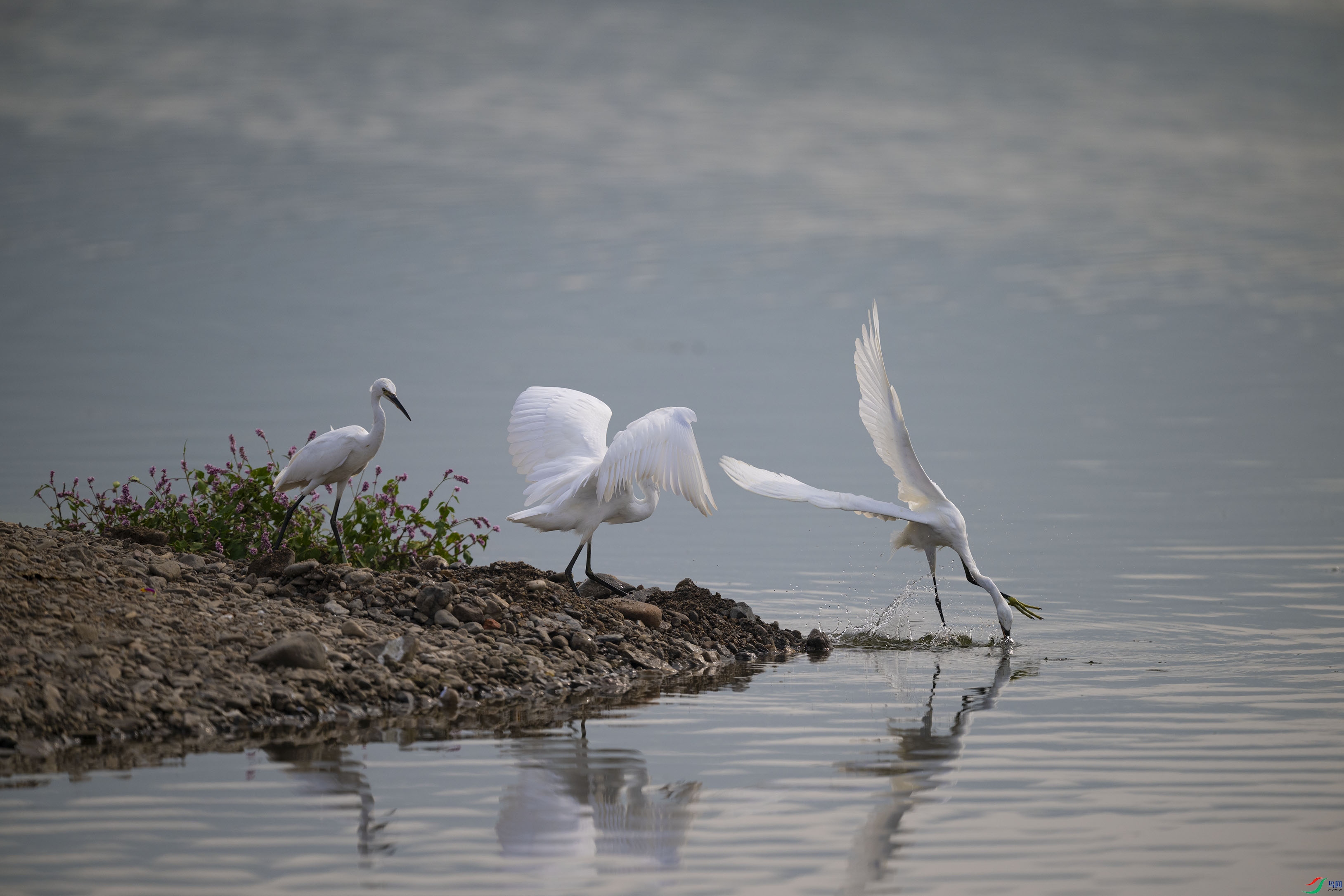 DSC_7139.jpg