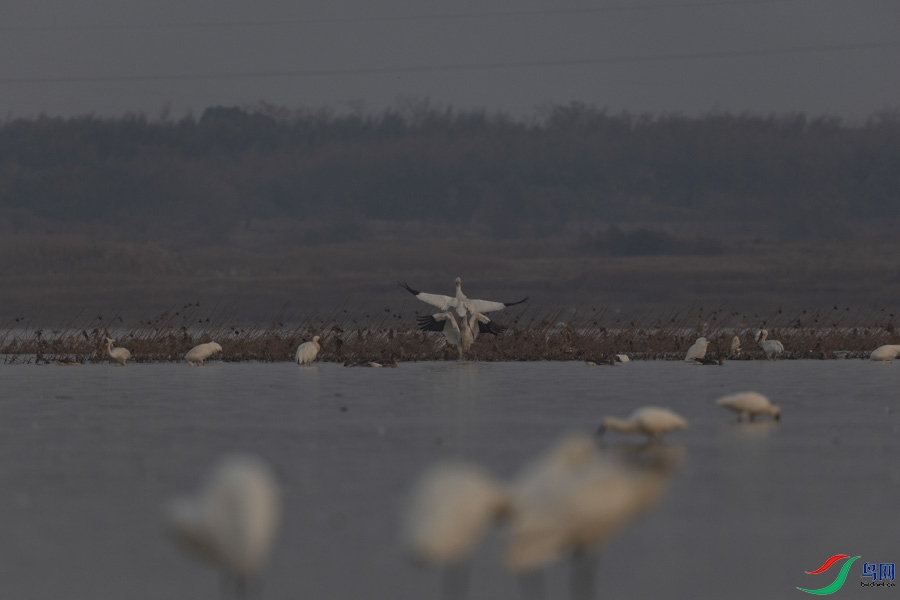 A_199.jpg