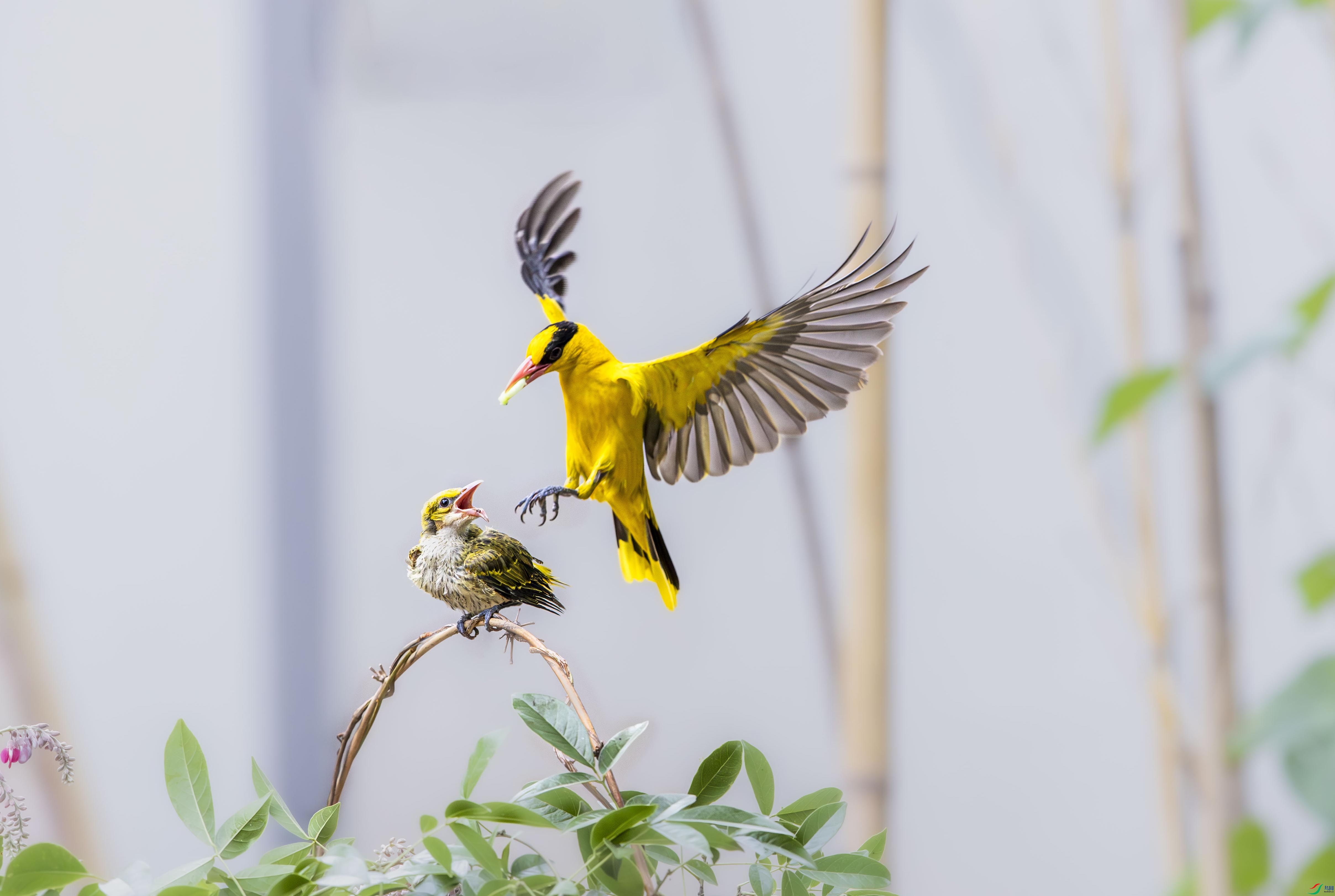 L25_7254-����ǿ ����.jpg